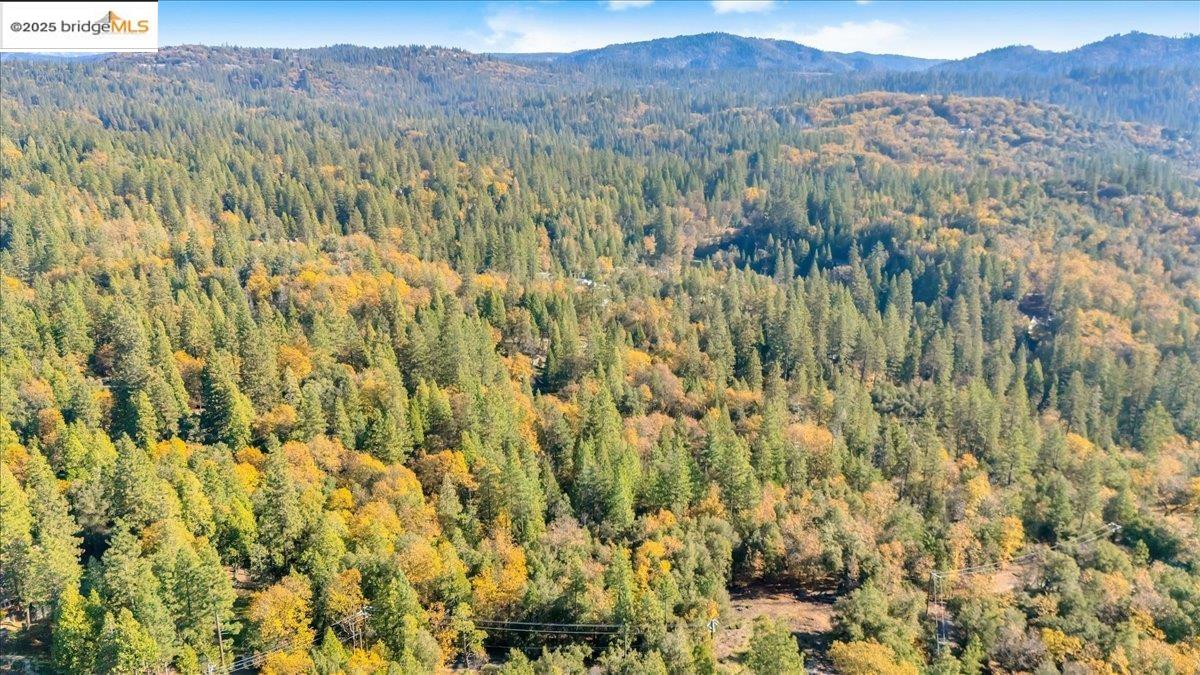 Detail Gallery Image 11 of 14 For 22919 Lazy Z Ln, Sonora,  CA 95370 - – Beds | – Baths