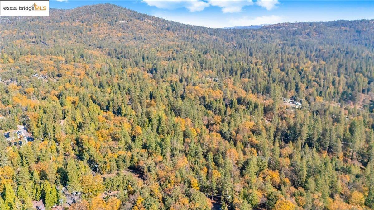 Detail Gallery Image 12 of 14 For 22919 Lazy Z Ln, Sonora,  CA 95370 - – Beds | – Baths