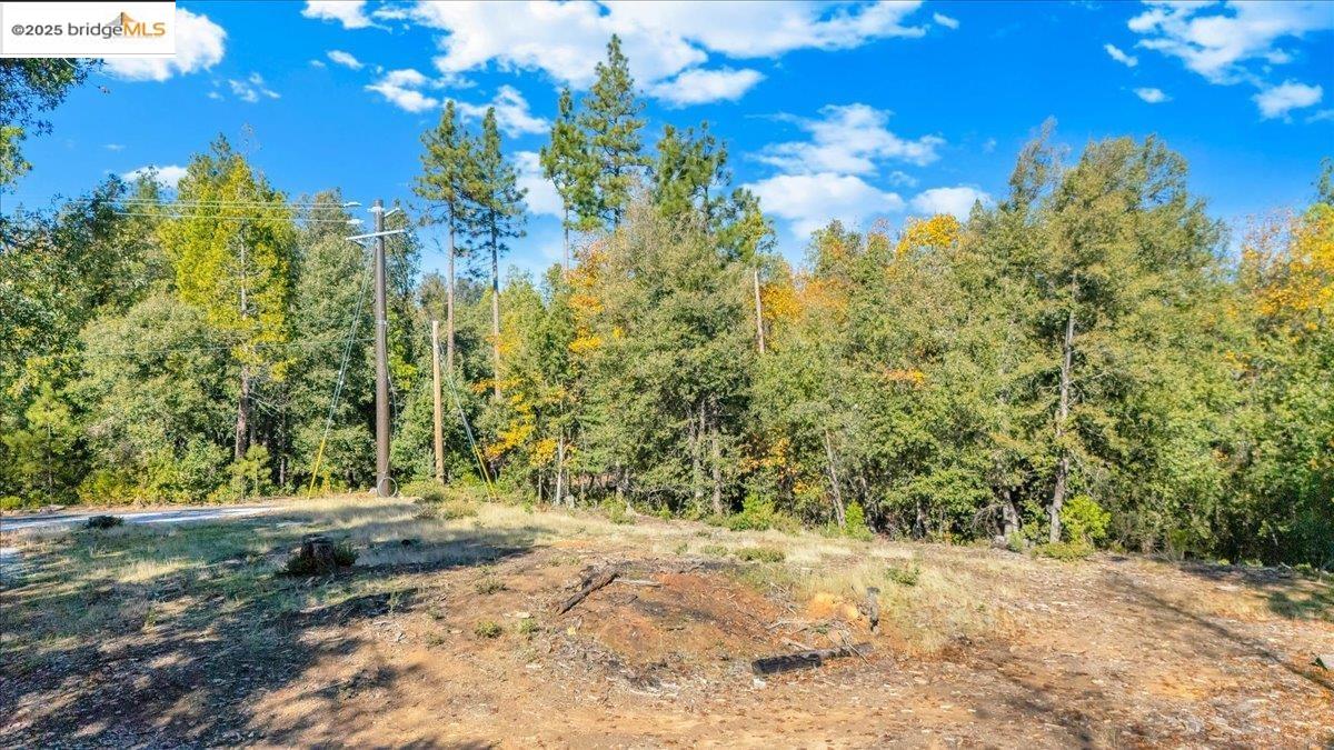 Detail Gallery Image 4 of 14 For 22919 Lazy Z Ln, Sonora,  CA 95370 - – Beds | – Baths