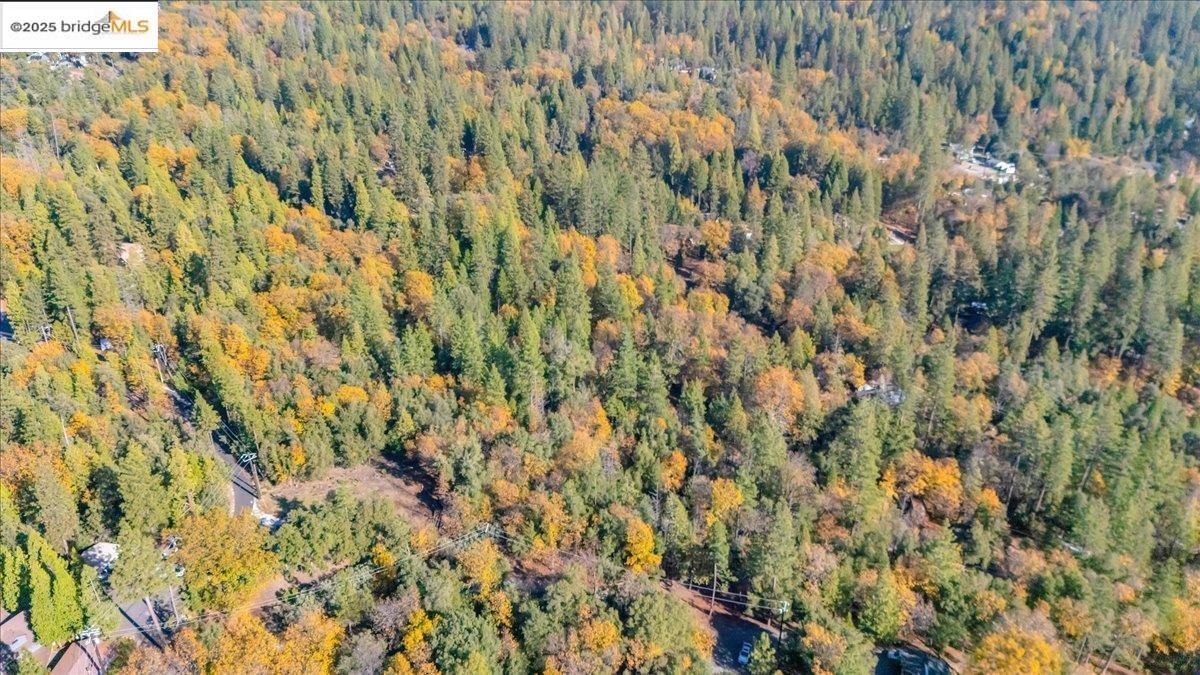 Detail Gallery Image 5 of 14 For 22919 Lazy Z Ln, Sonora,  CA 95370 - – Beds | – Baths