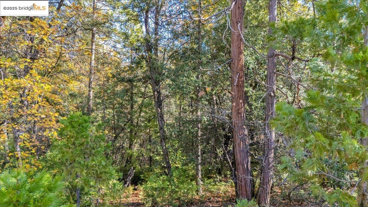 Detail Gallery Image 6 of 14 For 22919 Lazy Z Ln, Sonora,  CA 95370 - – Beds | – Baths