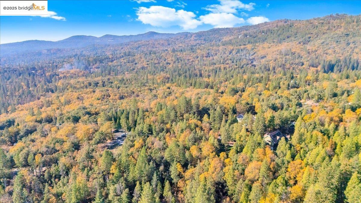 Detail Gallery Image 7 of 14 For 22919 Lazy Z Ln, Sonora,  CA 95370 - – Beds | – Baths