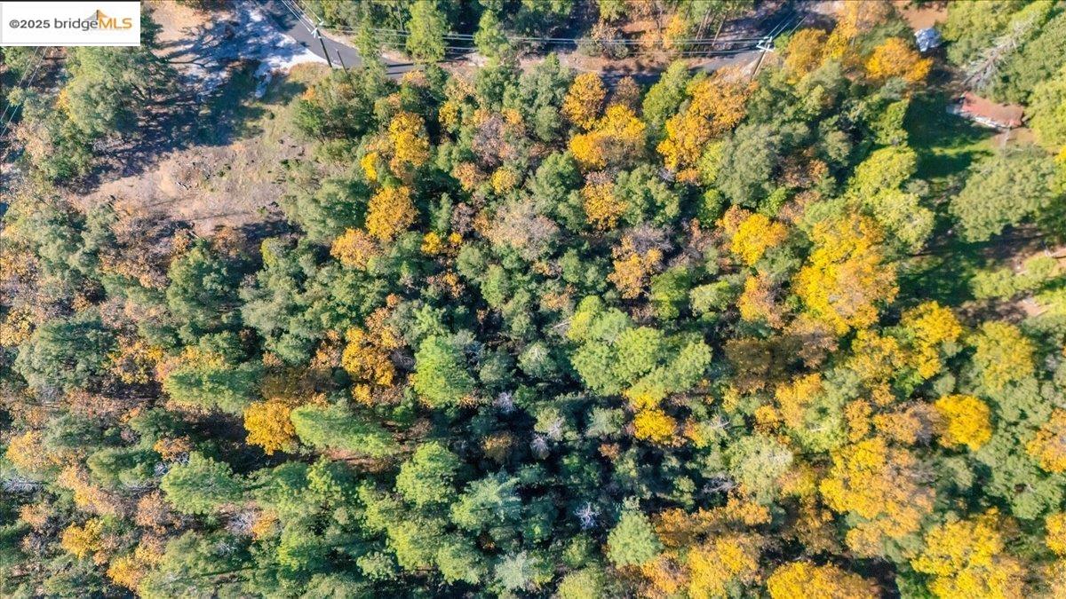 Detail Gallery Image 10 of 14 For 22919 Lazy Z Ln, Sonora,  CA 95370 - – Beds | – Baths