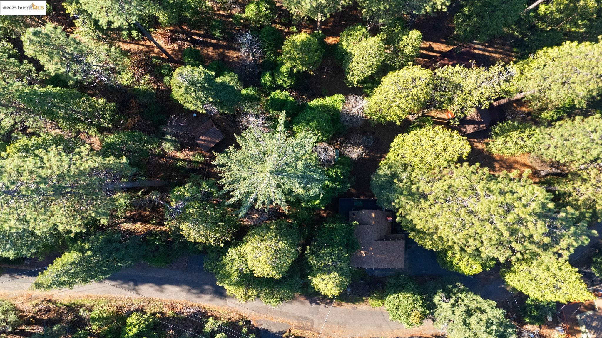 Detail Gallery Image 36 of 43 For 24216 Olo Win Trail + Lot 884, Mi Wuk Village,  CA 95346 - 4 Beds | 2 Baths