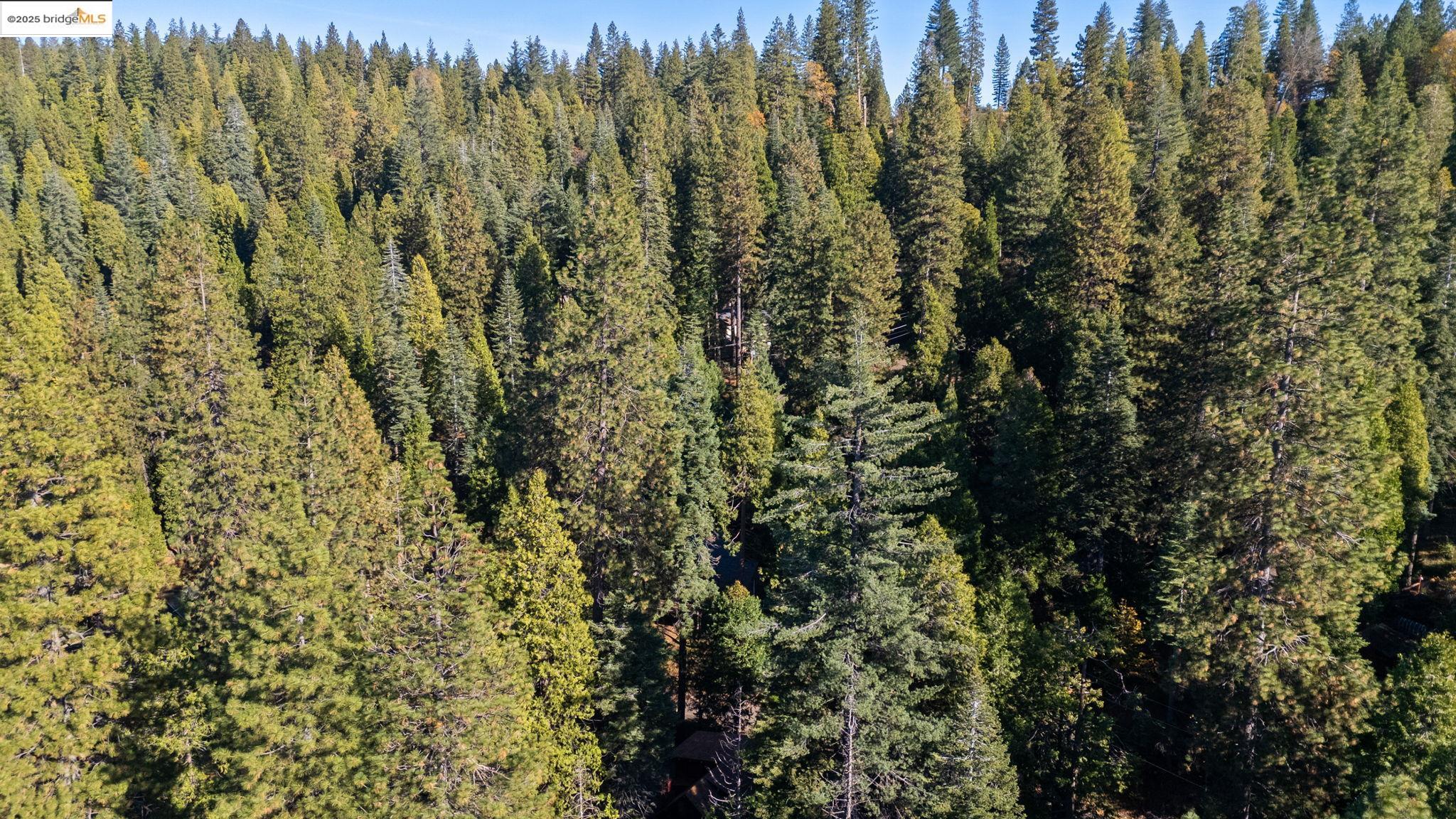 Detail Gallery Image 39 of 43 For 24216 Olo Win Trail + Lot 884, Mi Wuk Village,  CA 95346 - 4 Beds | 2 Baths