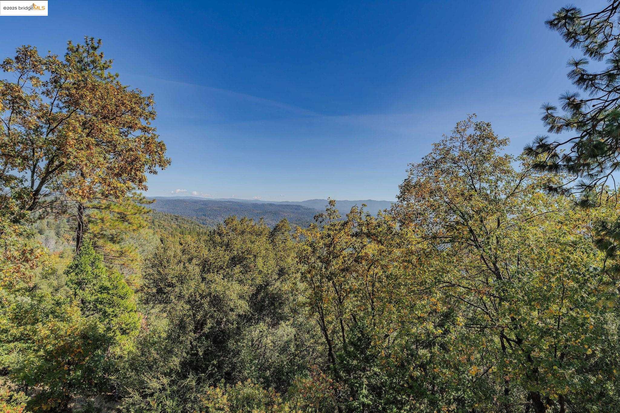 Detail Gallery Image 9 of 11 For 14900 Williams Rd, Pioneer,  CA 95666 - 3 Beds | 2 Baths