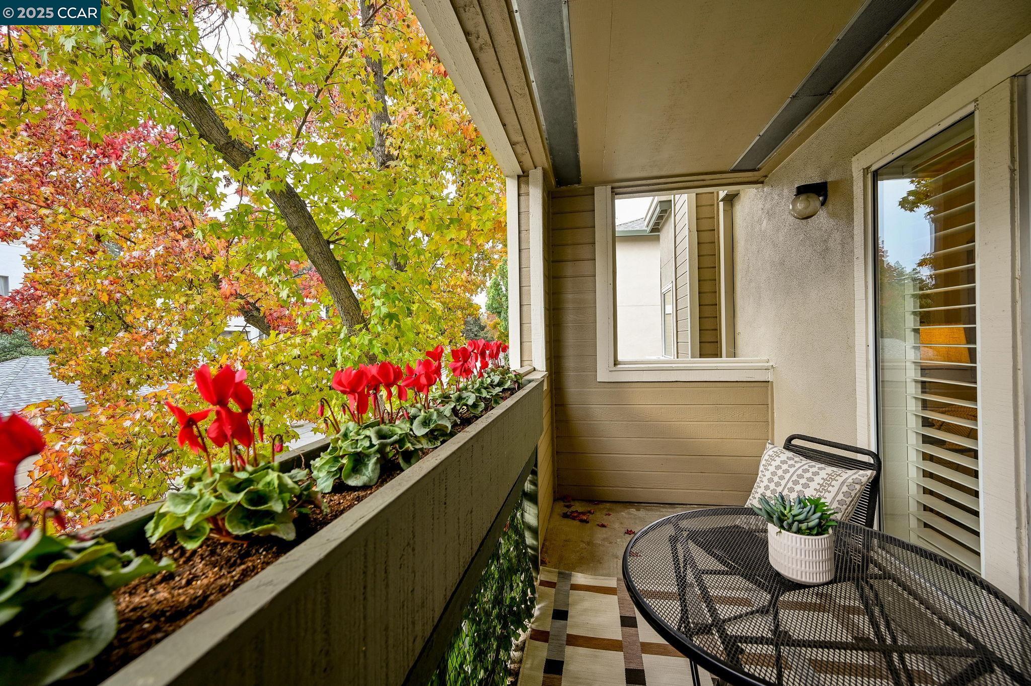 Photo #12: 41118324 Listing: Photo #12