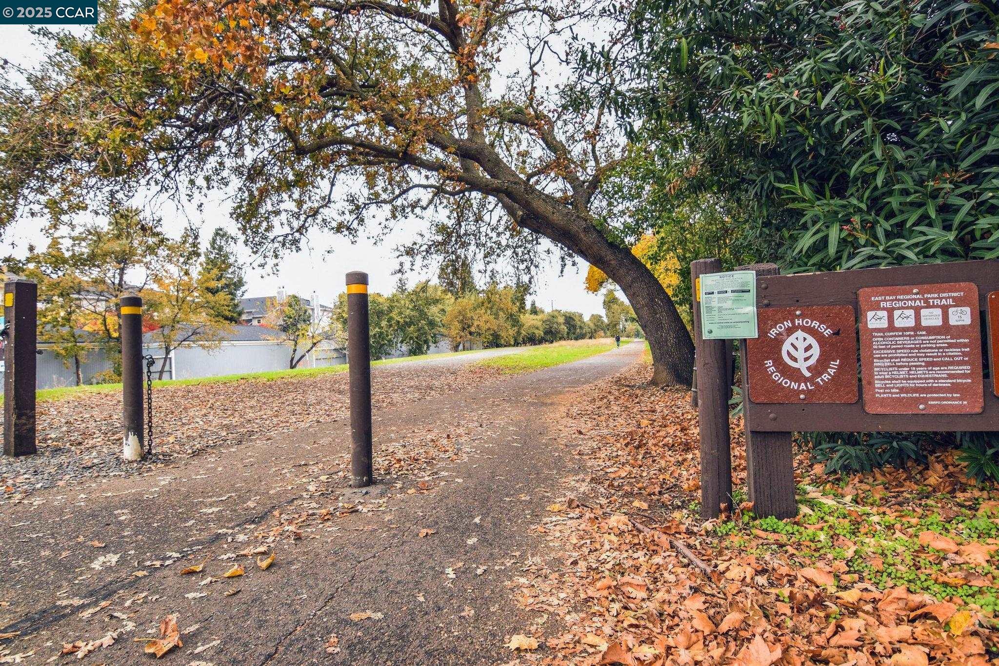 Photo #34: 41118324 Listing: Photo #34