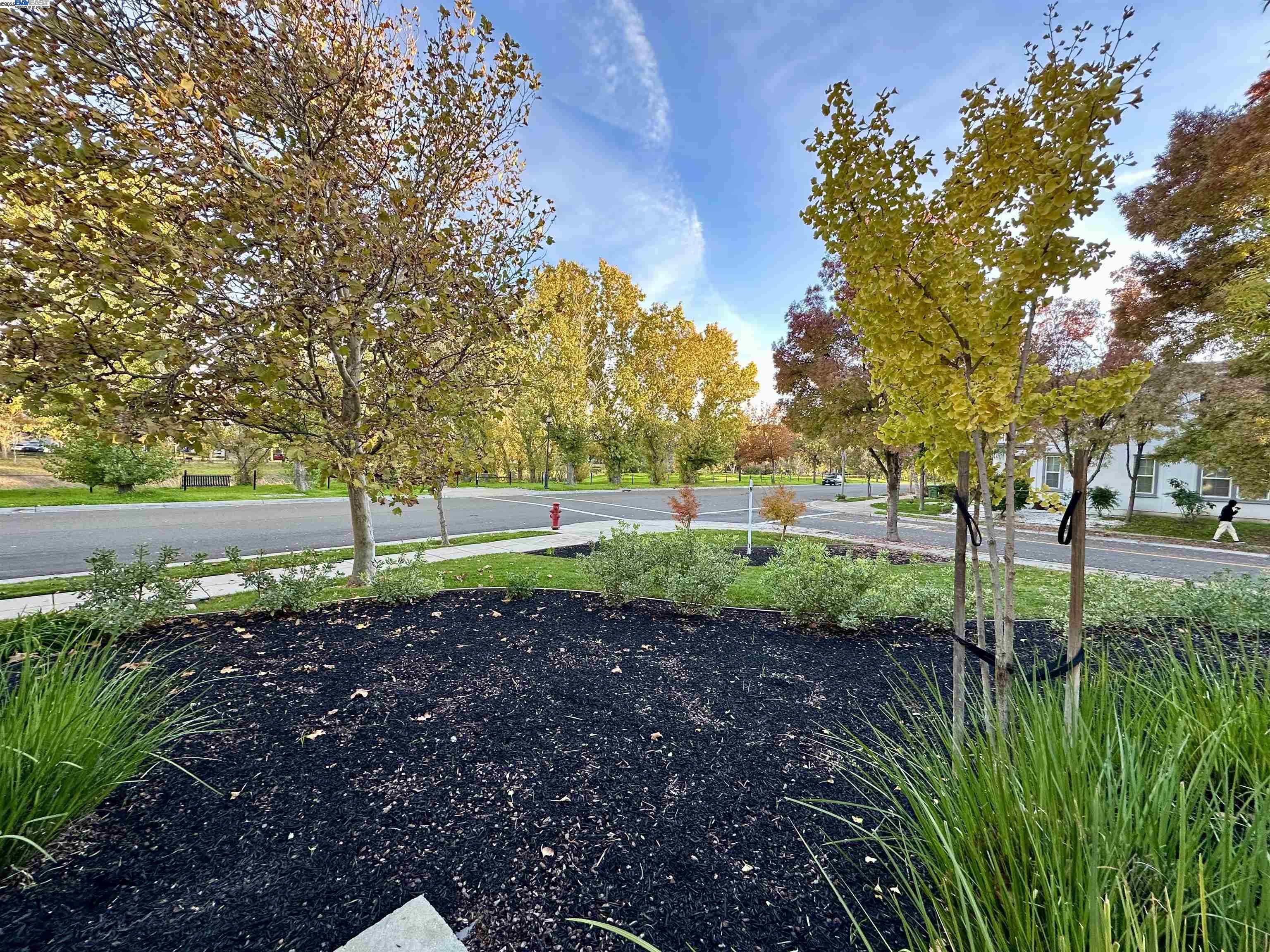 Detail Gallery Image 4 of 45 For 372 S Caballo Street, Mountain House,  CA 95391 - 5 Beds | 3 Baths