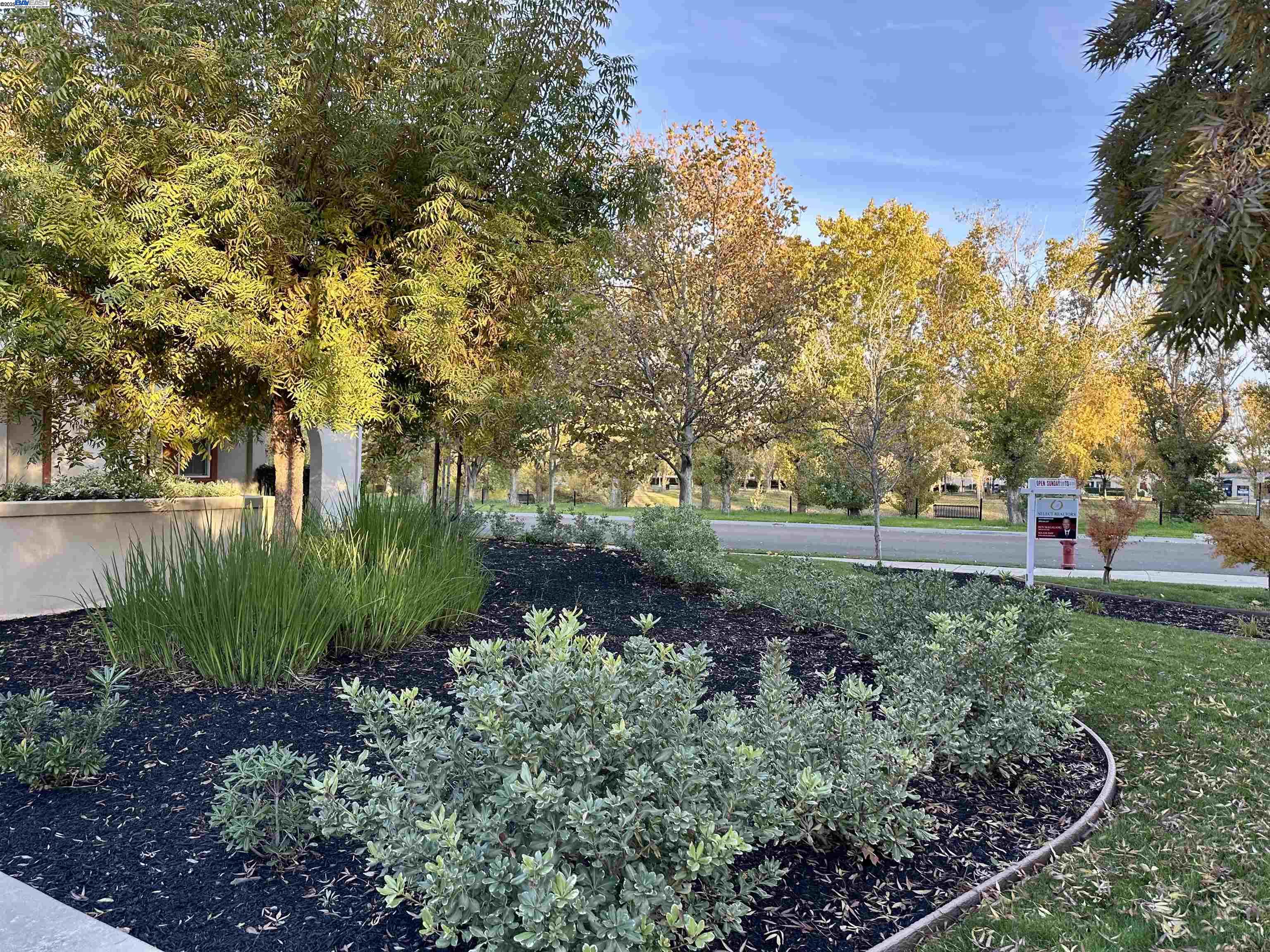 Detail Gallery Image 5 of 45 For 372 S Caballo Street, Mountain House,  CA 95391 - 5 Beds | 3 Baths