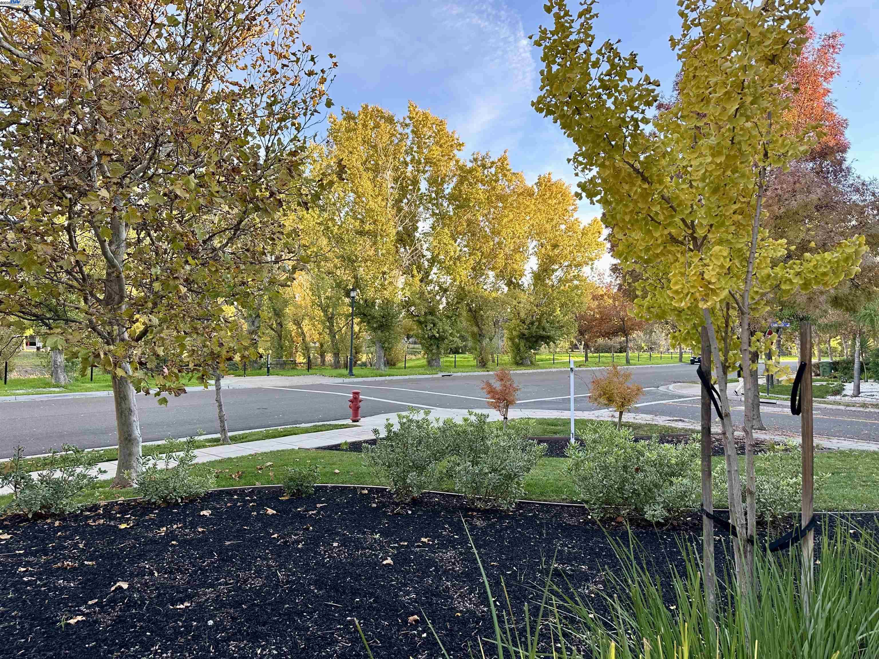 Detail Gallery Image 6 of 45 For 372 S Caballo Street, Mountain House,  CA 95391 - 5 Beds | 3 Baths