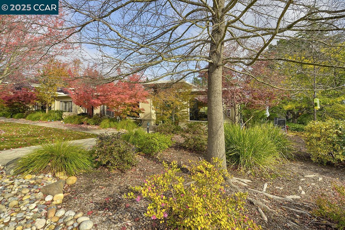 Photo #37: 41118364 Listing: Photo #37