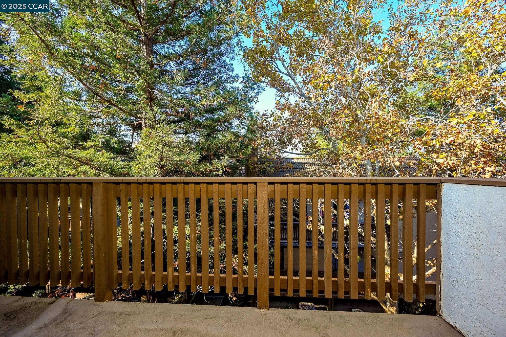 Photo #3: 41118365 Listing: Photo #3