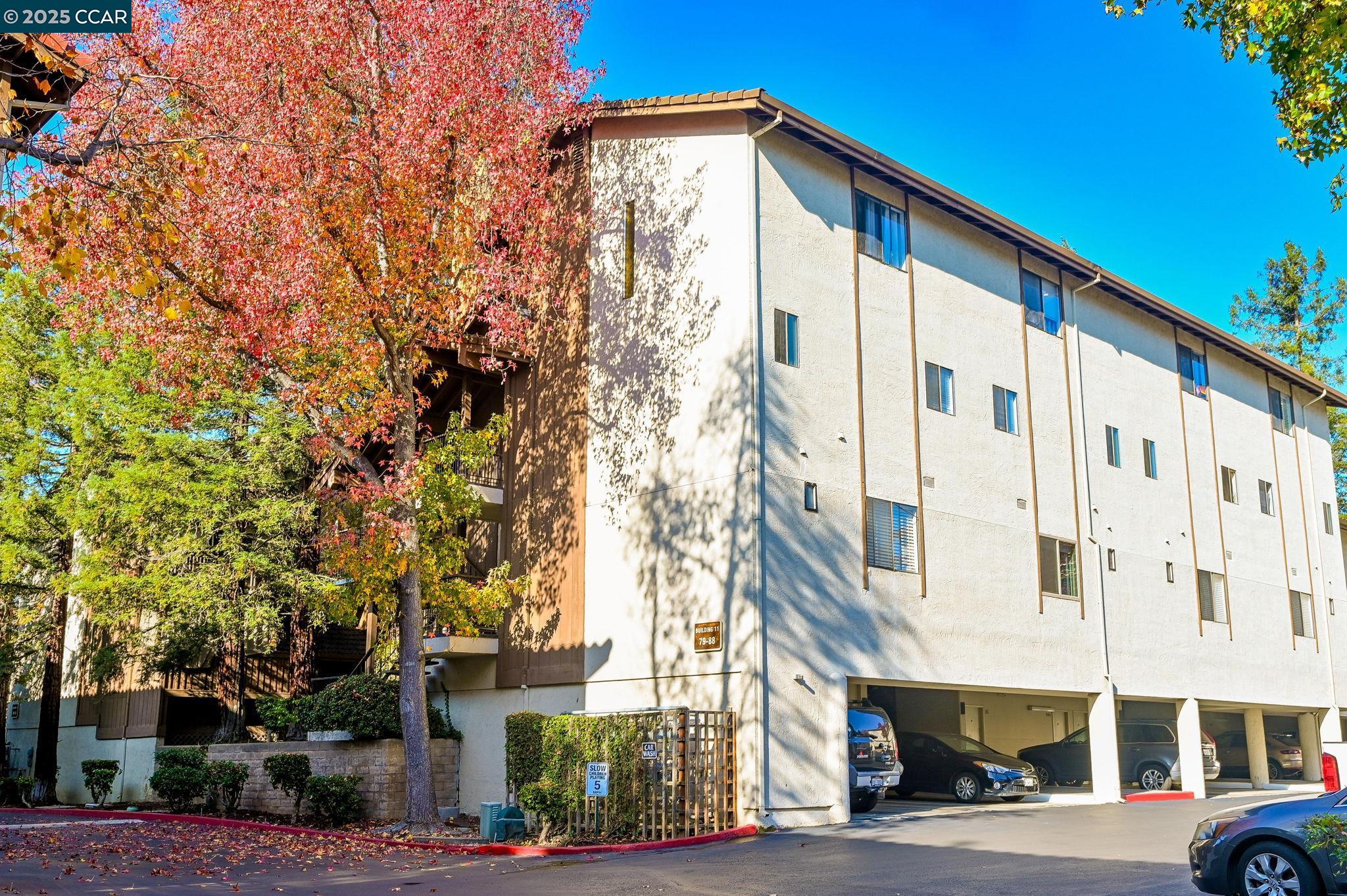 Photo #21: 41118365 Listing: Photo #21