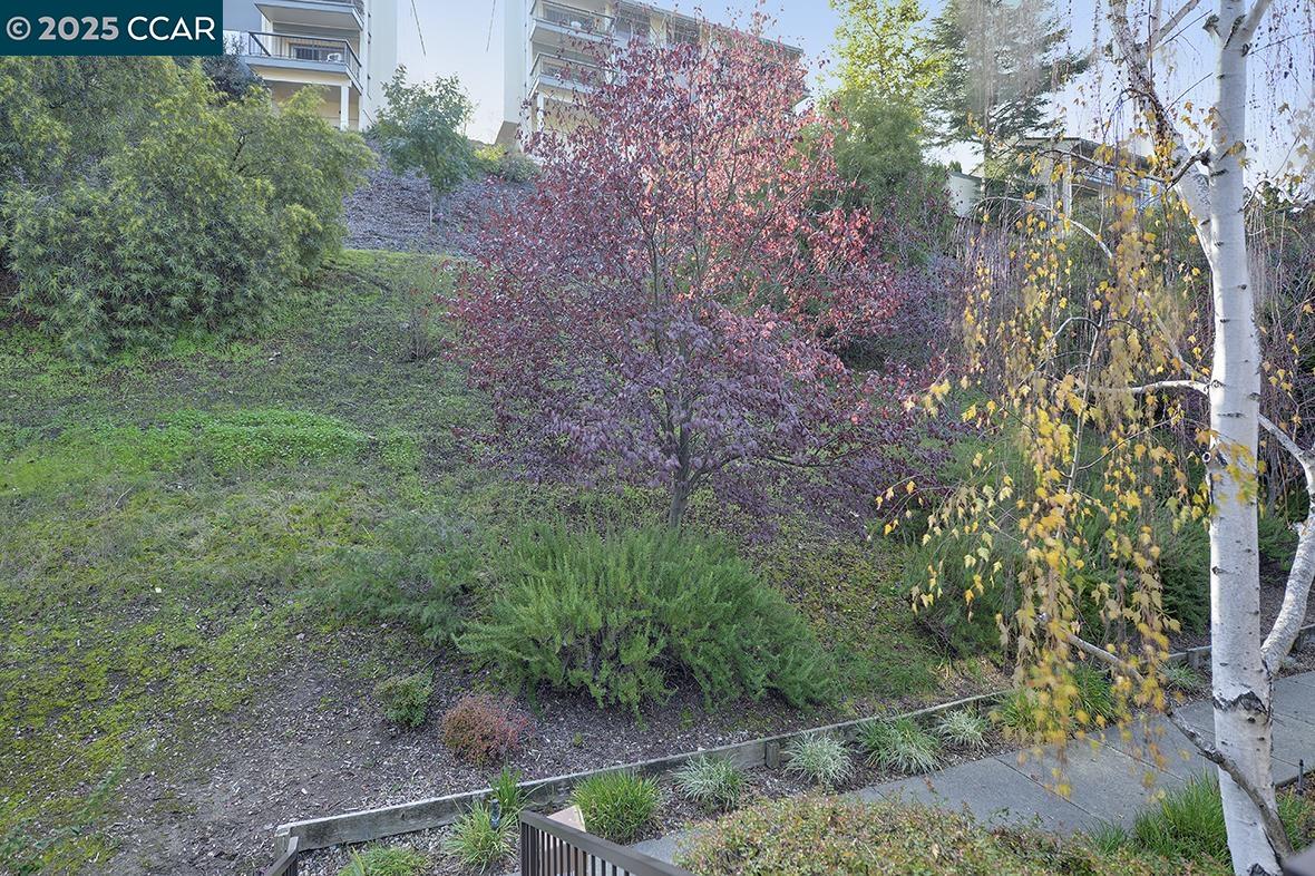 Photo #25: 41118391 Listing: Photo #25