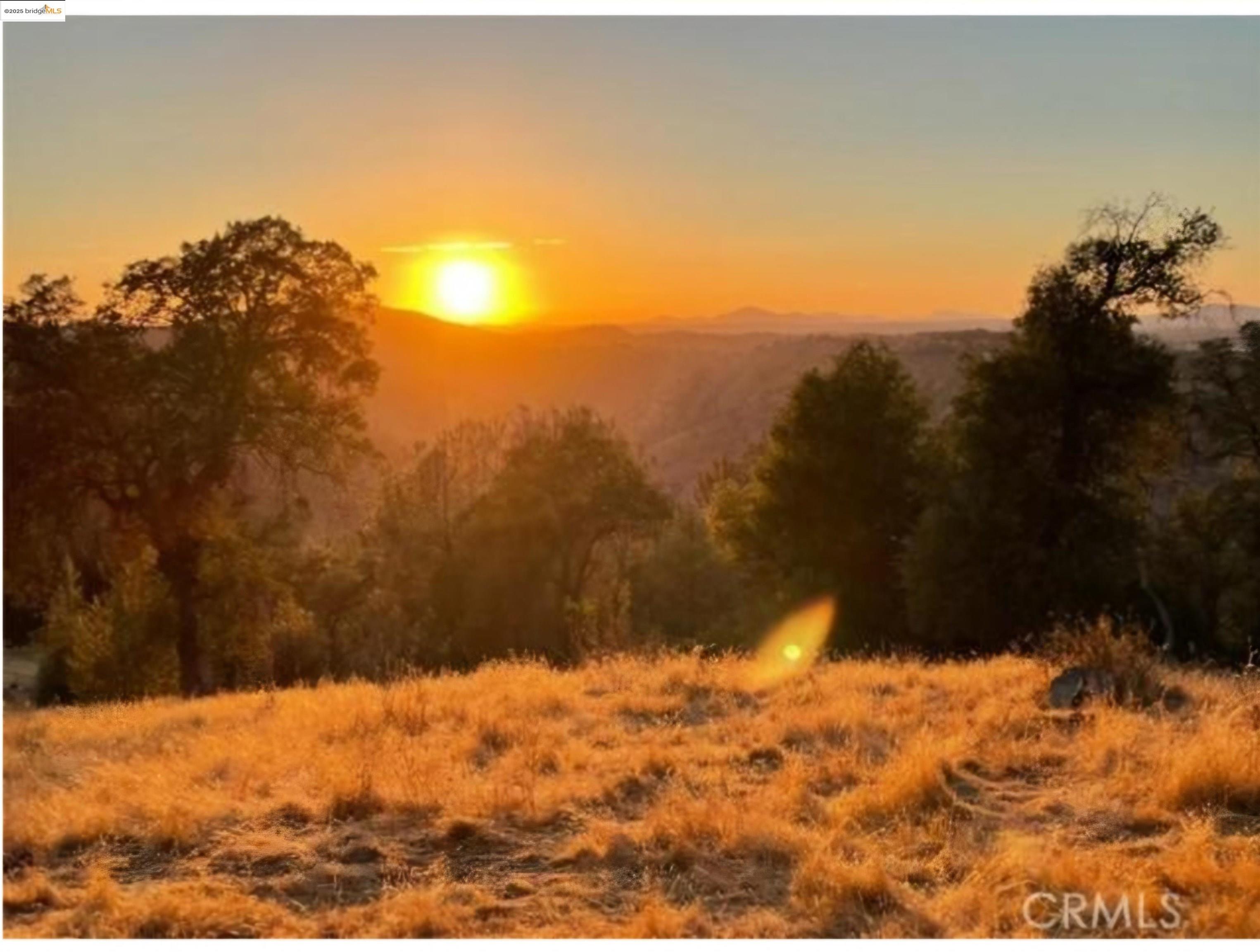 Detail Gallery Image 19 of 19 For 16551 Wards Ferry Rd, Groveland,  CA 95370 - – Beds | – Baths