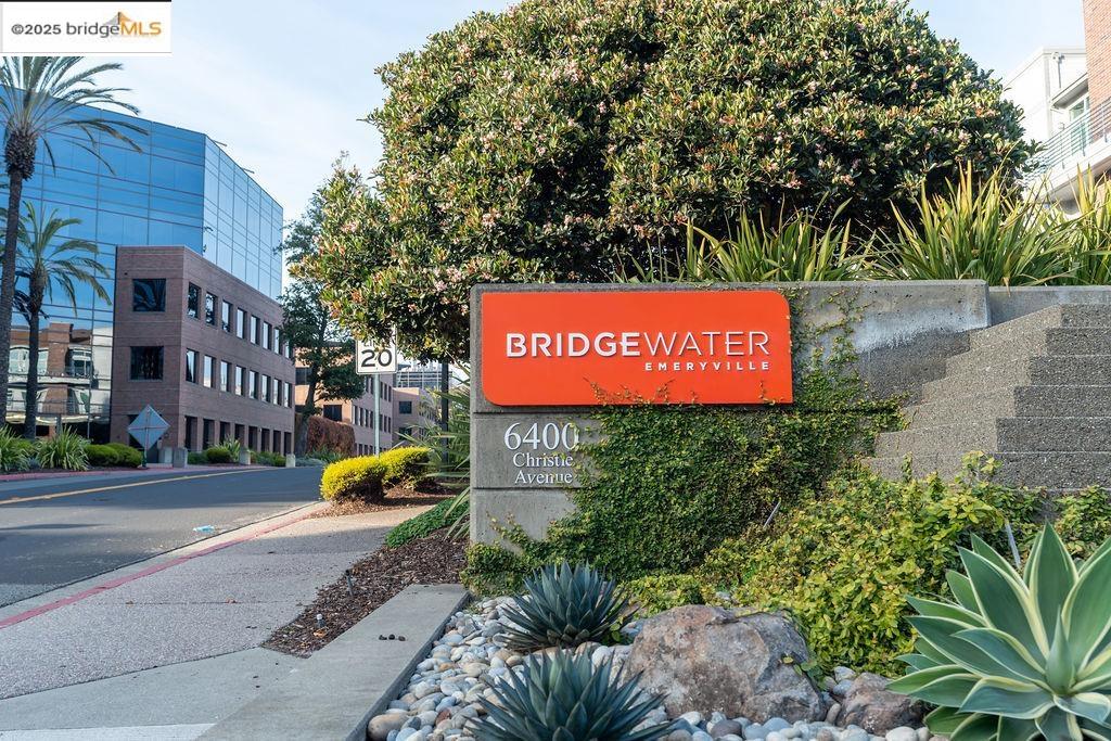 Photo #2: 41118431 Listing: Photo #2