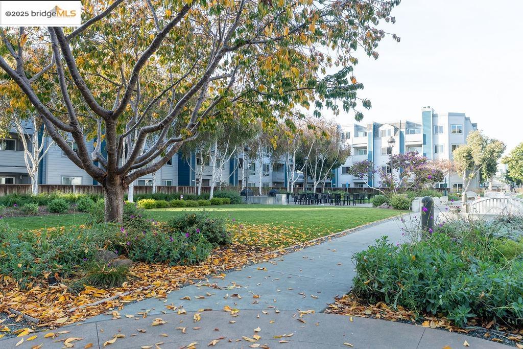 Photo #28: 41118431 Listing: Photo #28