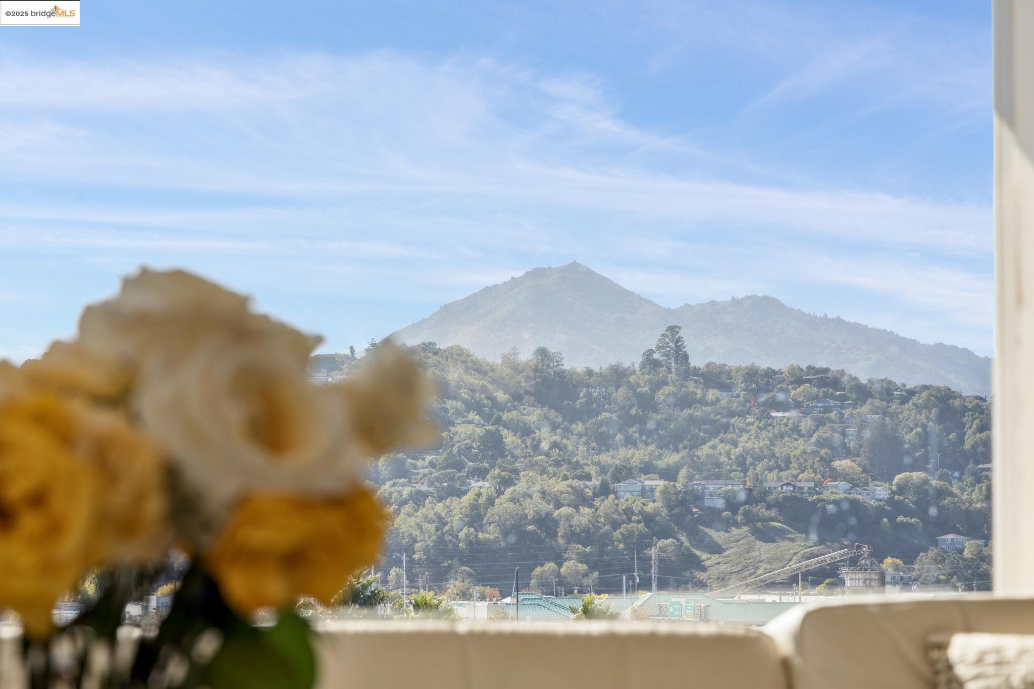 Detail Gallery Image 17 of 51 For 28 Marina Court Dr, San Rafael,  CA 94901 - 3 Beds | 2/1 Baths