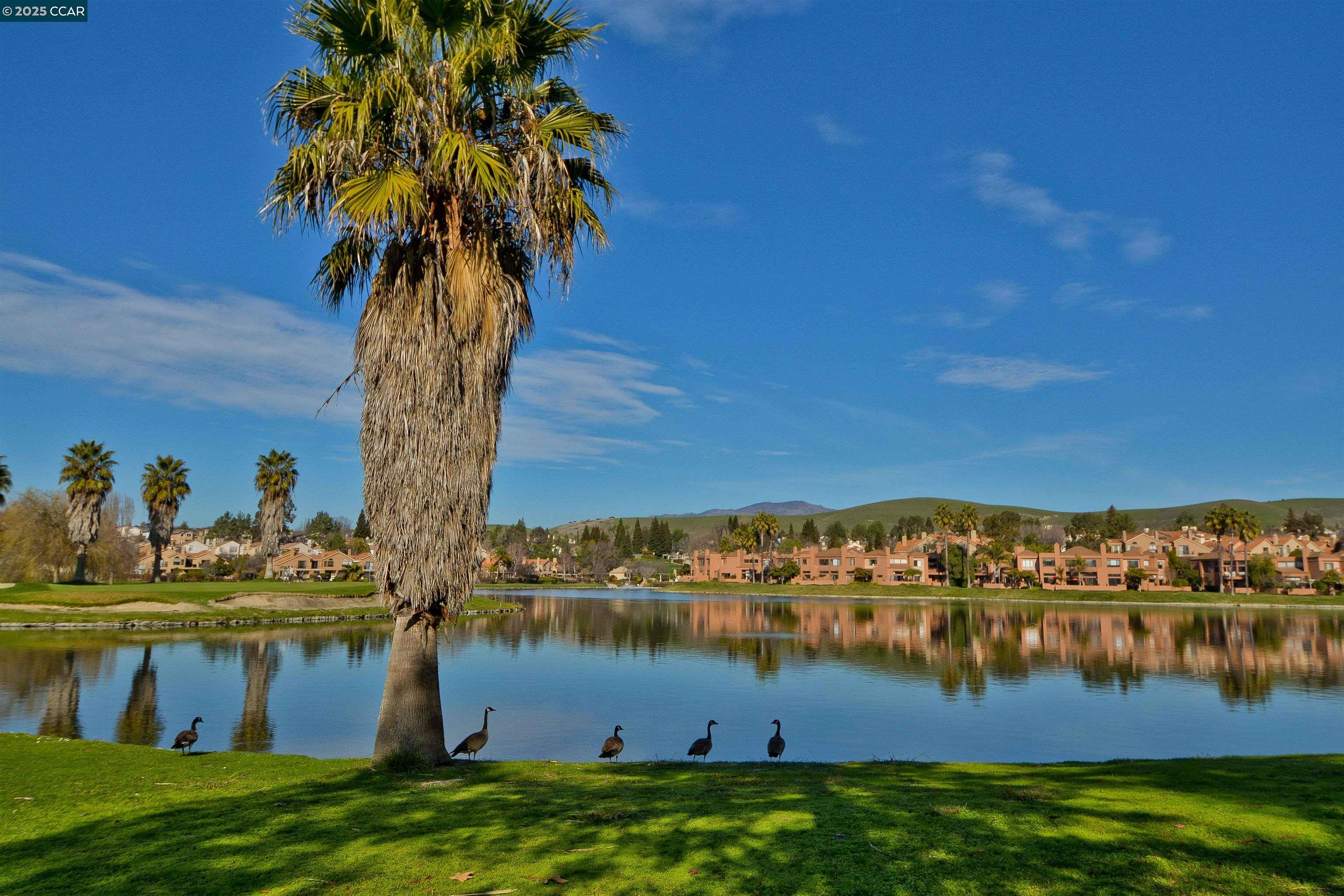 Detail Gallery Image 48 of 59 For 226 Lakeridge Way, San Ramon,  CA 94582 - 3 Beds | 2/1 Baths