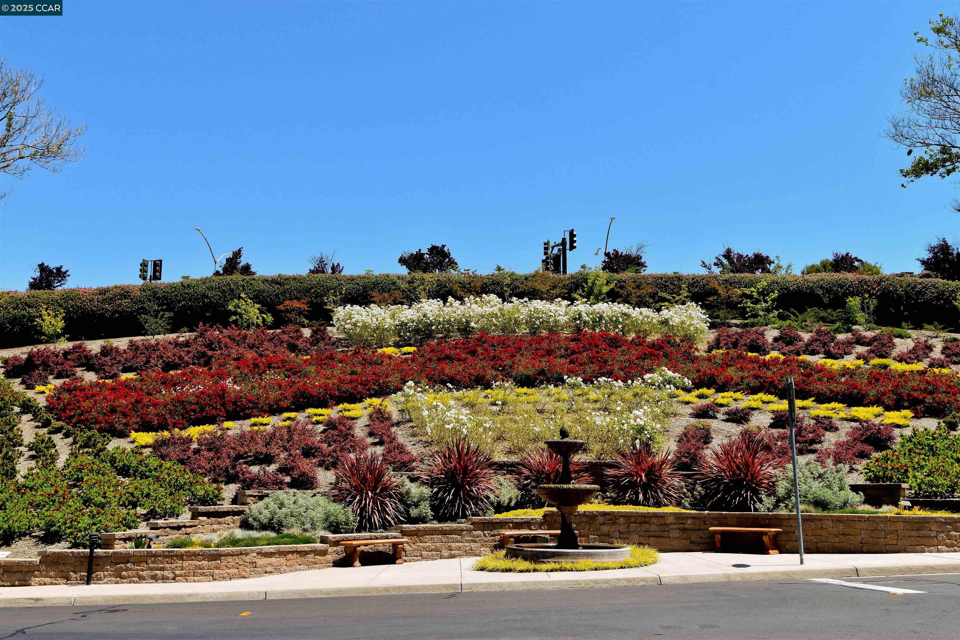 Detail Gallery Image 49 of 59 For 226 Lakeridge Way, San Ramon,  CA 94582 - 3 Beds | 2/1 Baths