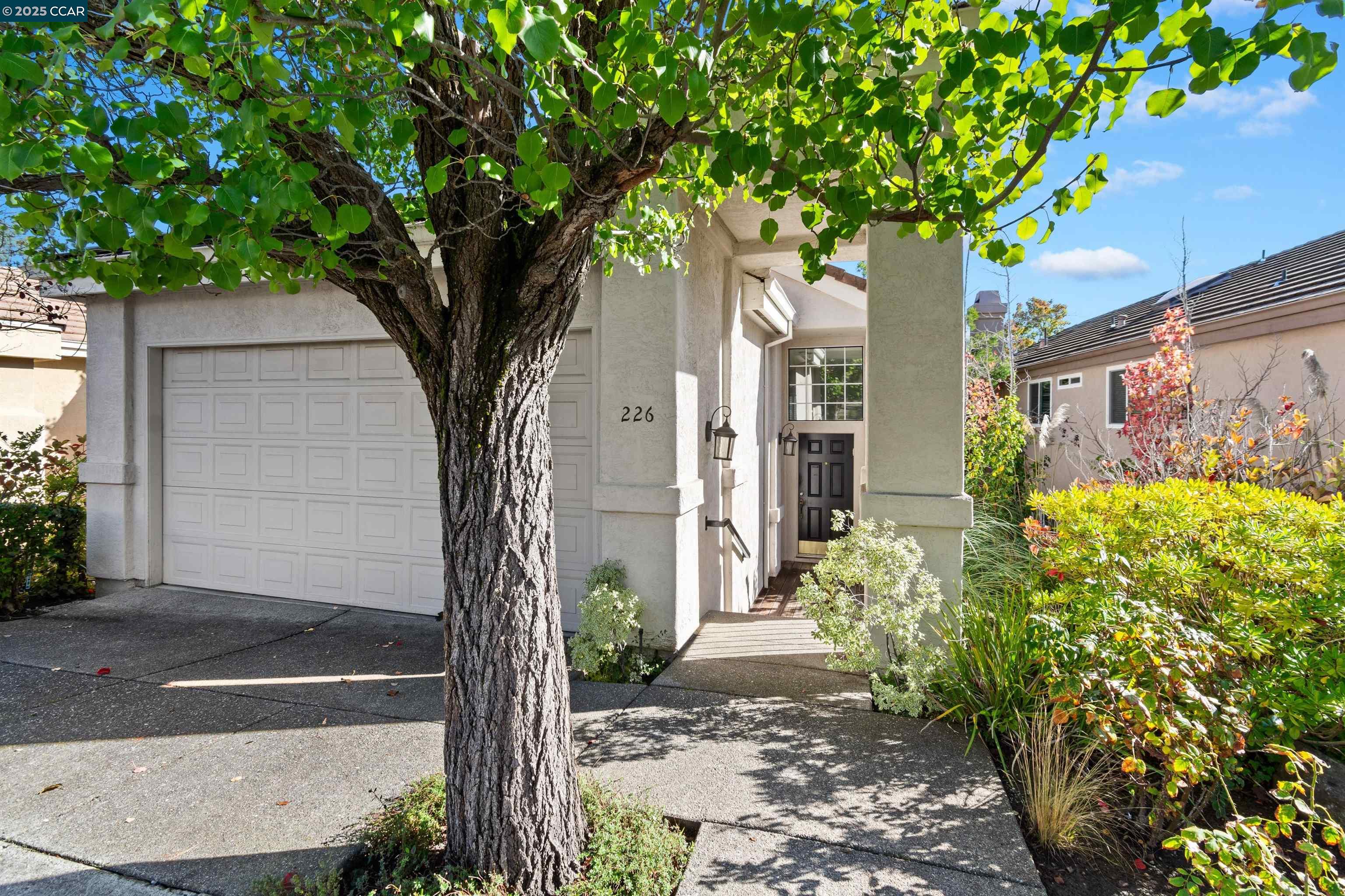 Detail Gallery Image 6 of 59 For 226 Lakeridge Way, San Ramon,  CA 94582 - 3 Beds | 2/1 Baths