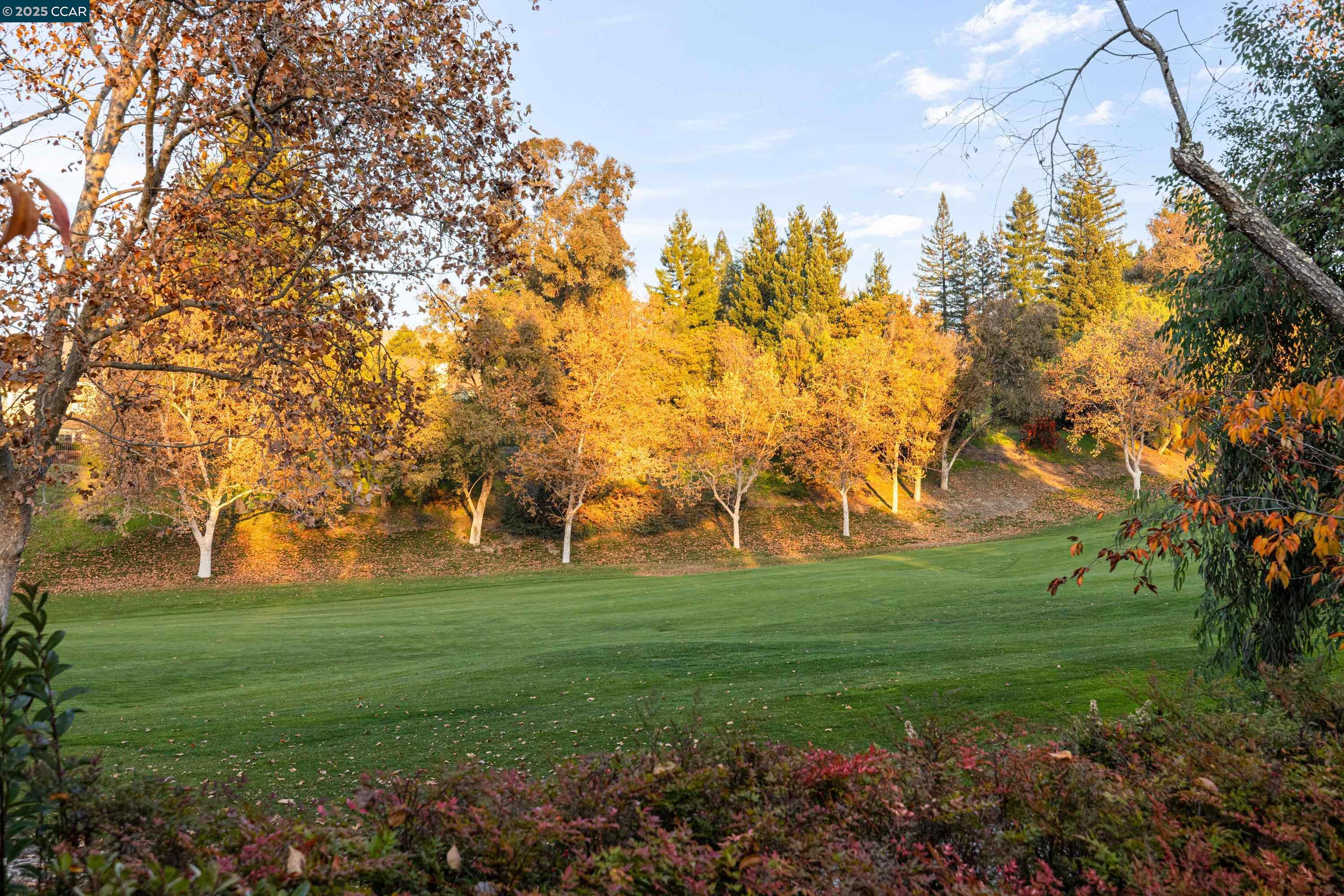 Detail Gallery Image 38 of 59 For 332 Red Maple Drive, Danville,  CA 94506 - 4 Beds | 3/1 Baths