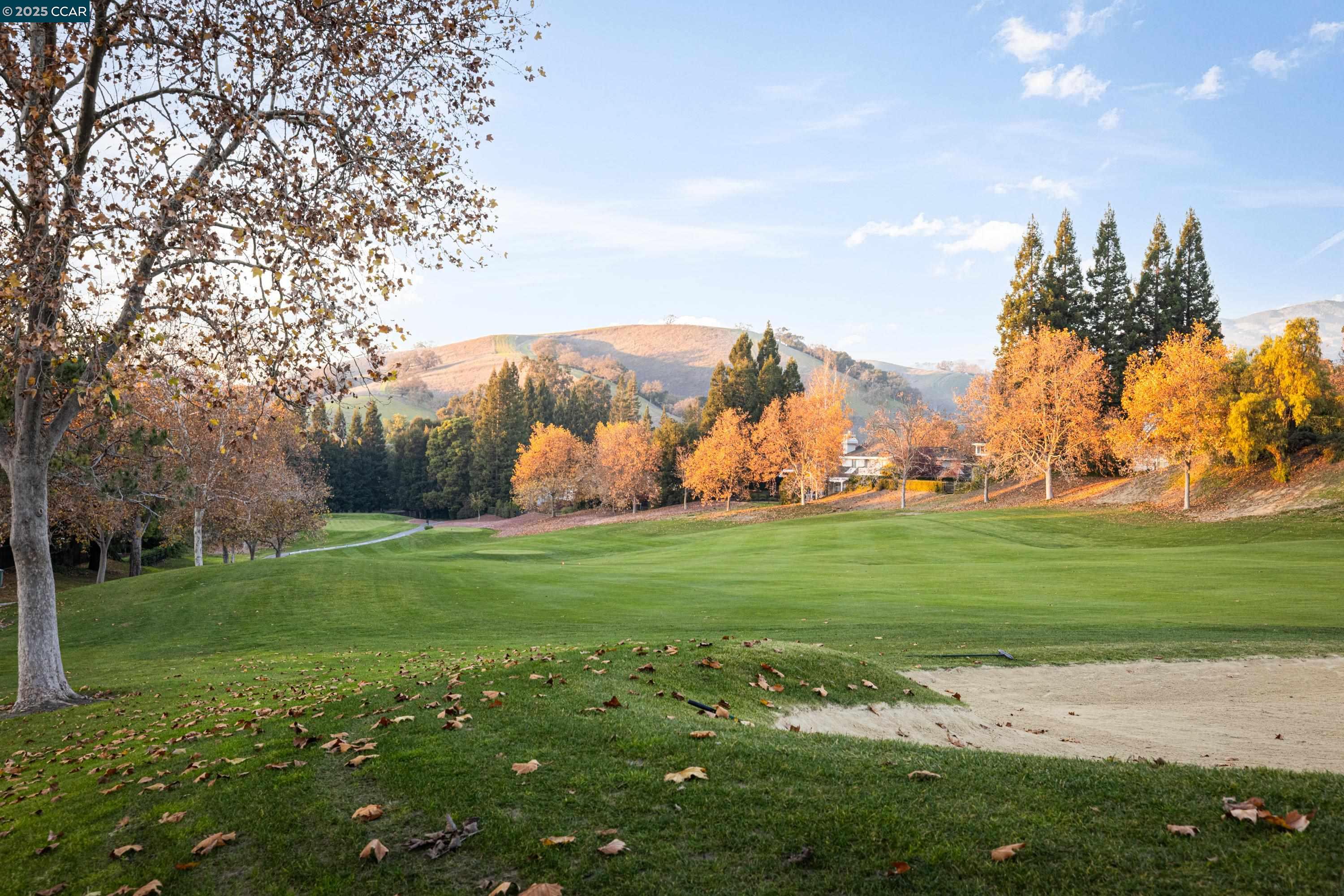 Detail Gallery Image 43 of 59 For 332 Red Maple Drive, Danville,  CA 94506 - 4 Beds | 3/1 Baths