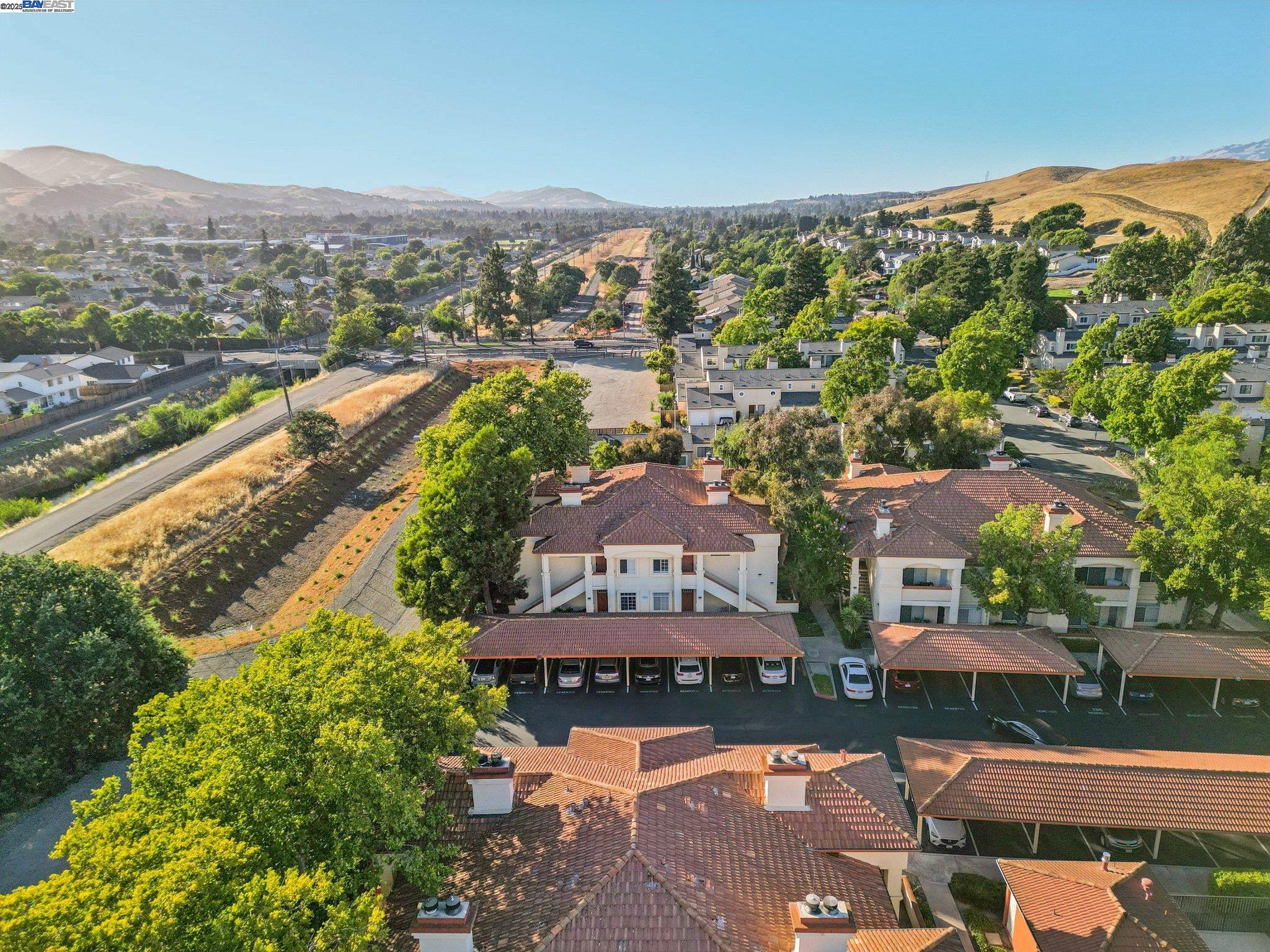 Photo #39: 41118439 Listing: Photo #39