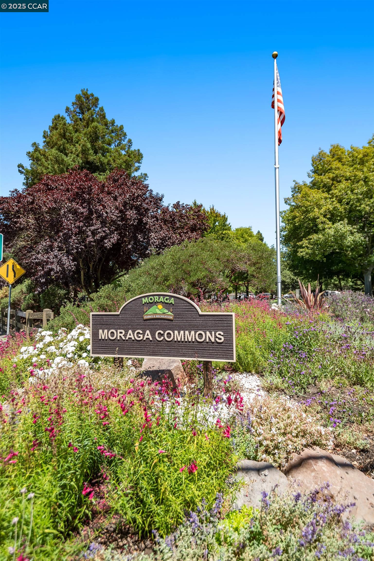 Photo #40: 41118441 Listing: Photo #40