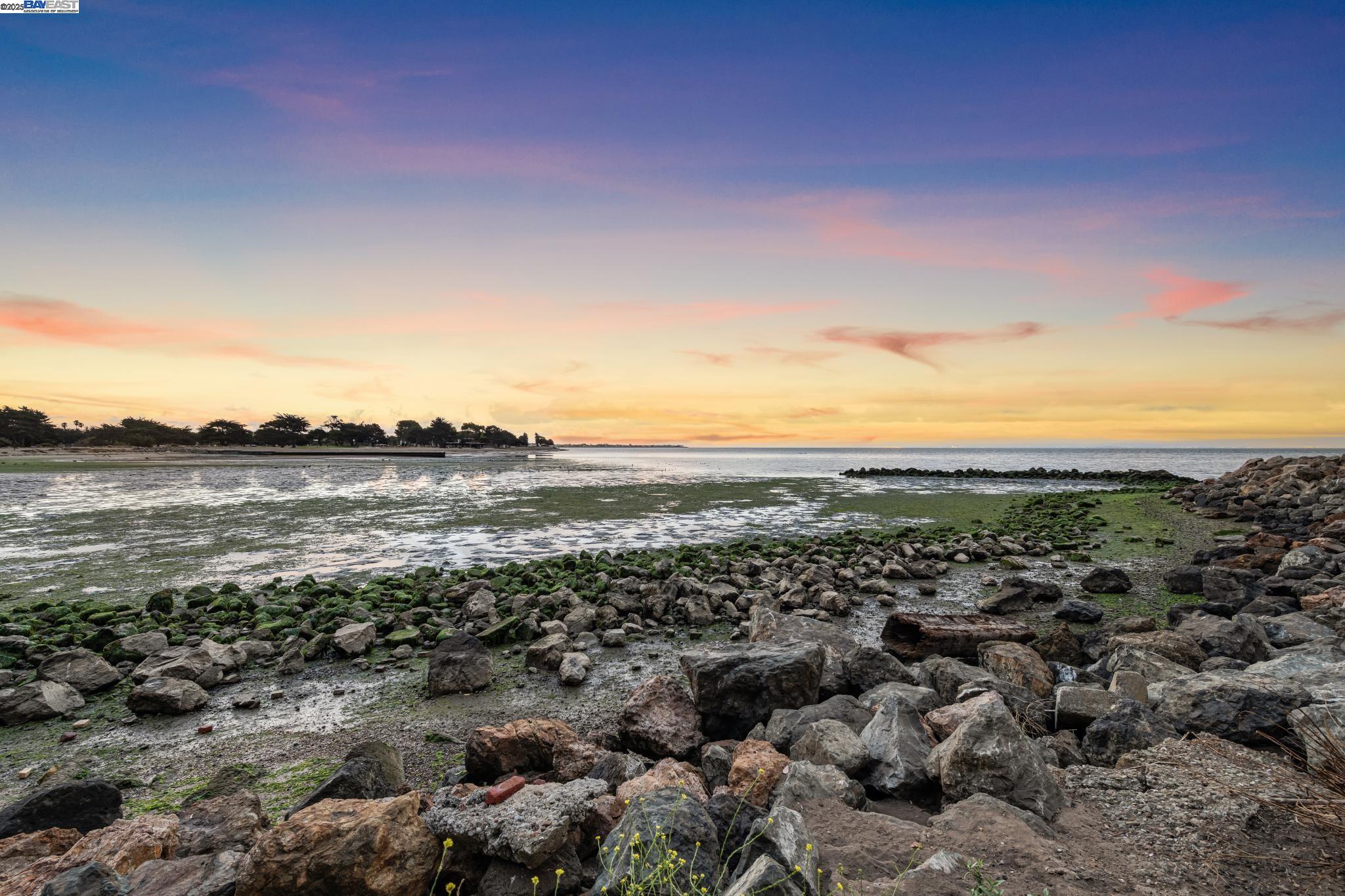 Photo #26: 41118458 Listing: Photo #26