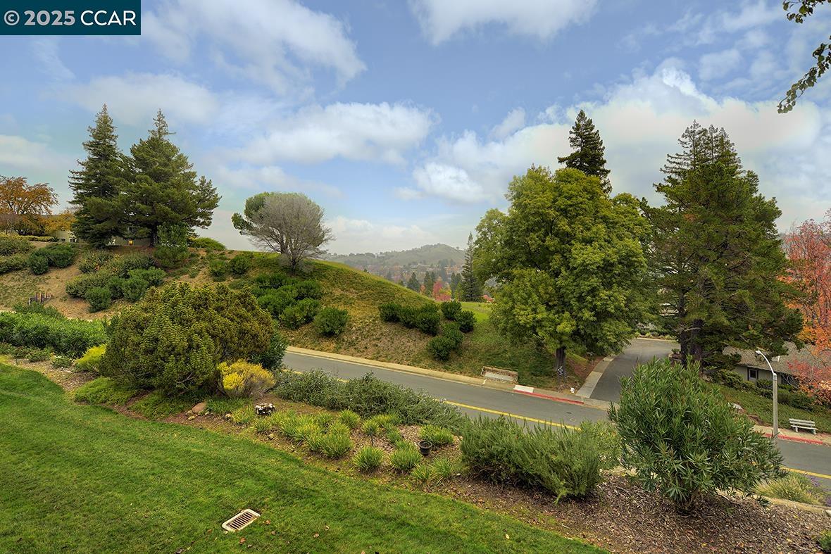 Photo #14: 41118481 Listing: Photo #14