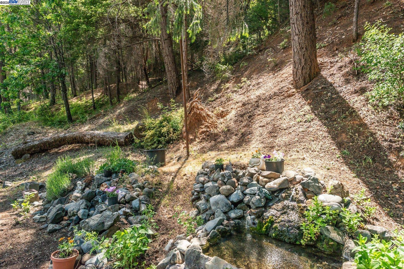 Detail Gallery Image 24 of 47 For 2940 Dutch Creek Rd, Junction City,  CA 96048 - 2 Beds | 1 Baths