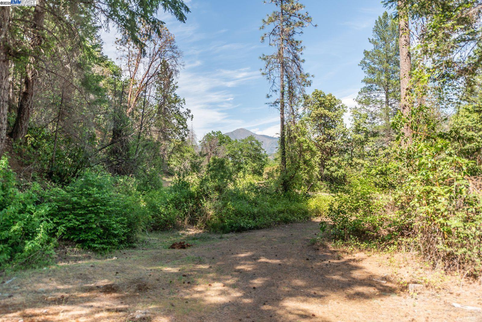 Detail Gallery Image 37 of 47 For 2940 Dutch Creek Rd, Junction City,  CA 96048 - 2 Beds | 1 Baths