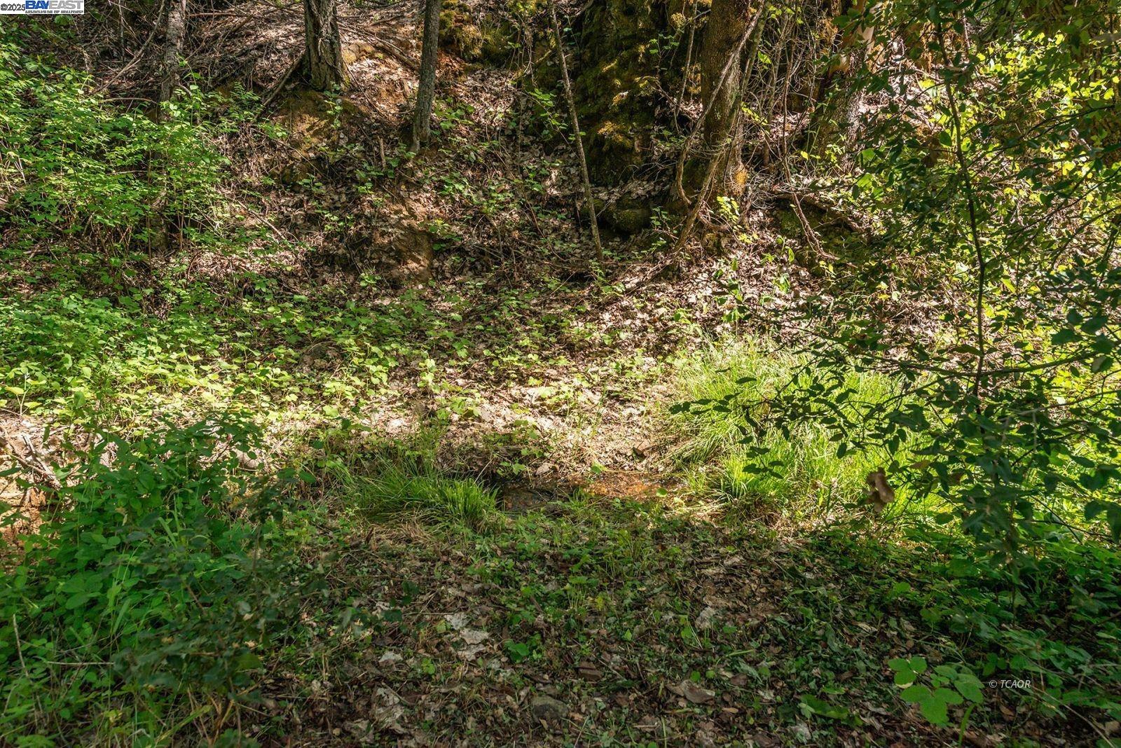 Detail Gallery Image 40 of 47 For 2940 Dutch Creek Rd, Junction City,  CA 96048 - 2 Beds | 1 Baths