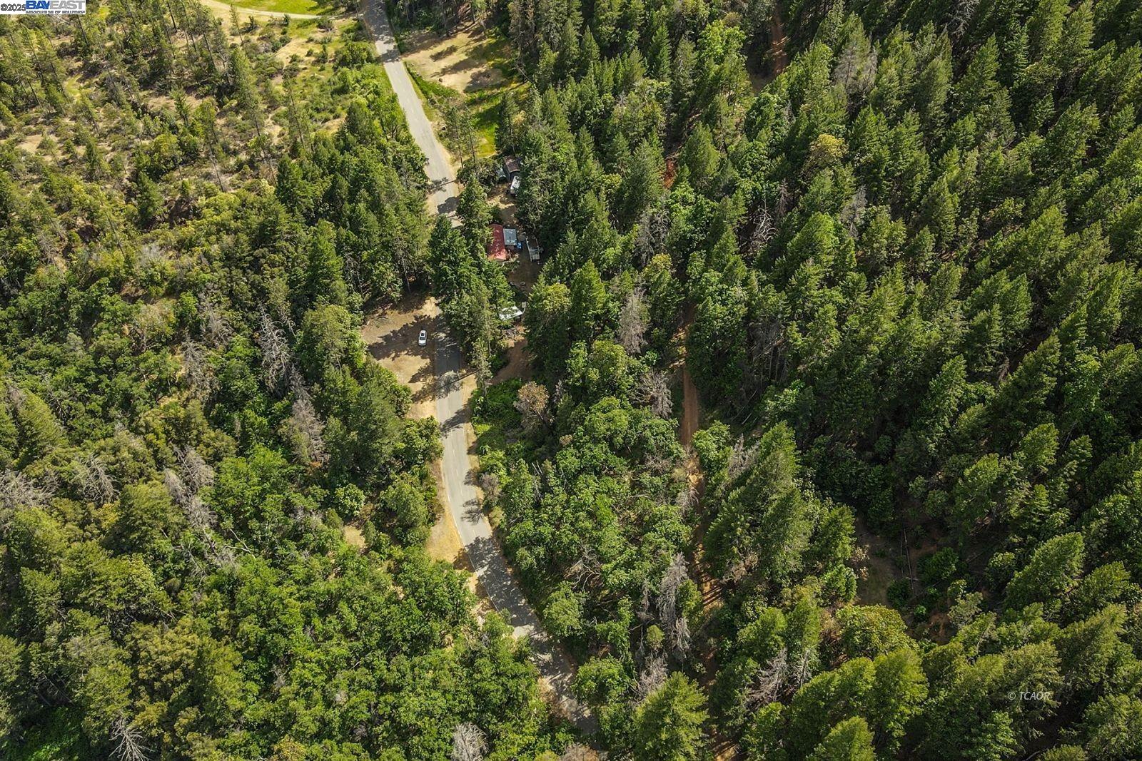 Detail Gallery Image 47 of 47 For 2940 Dutch Creek Rd, Junction City,  CA 96048 - 2 Beds | 1 Baths