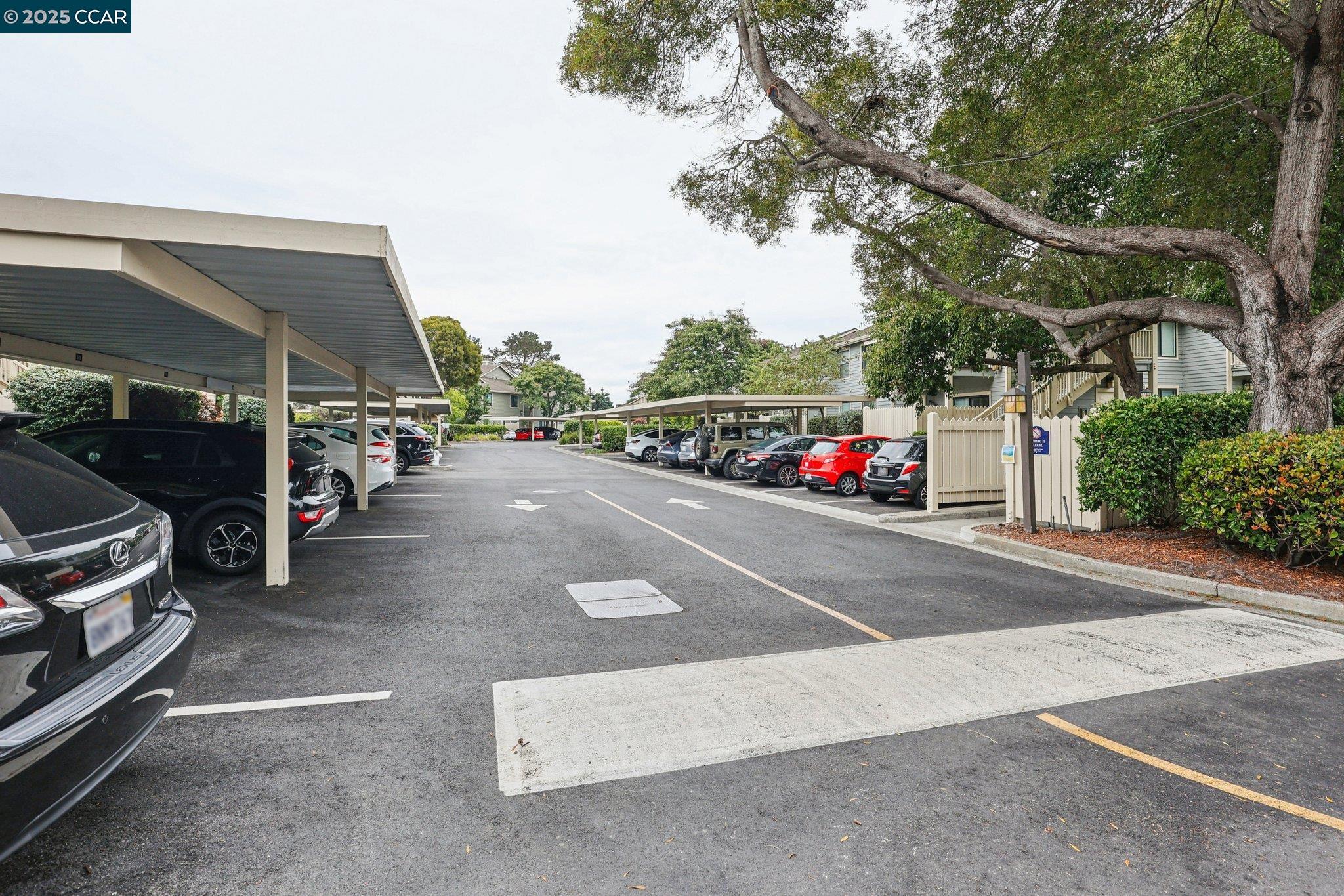 Photo #23: 41118490 Listing: Photo #23