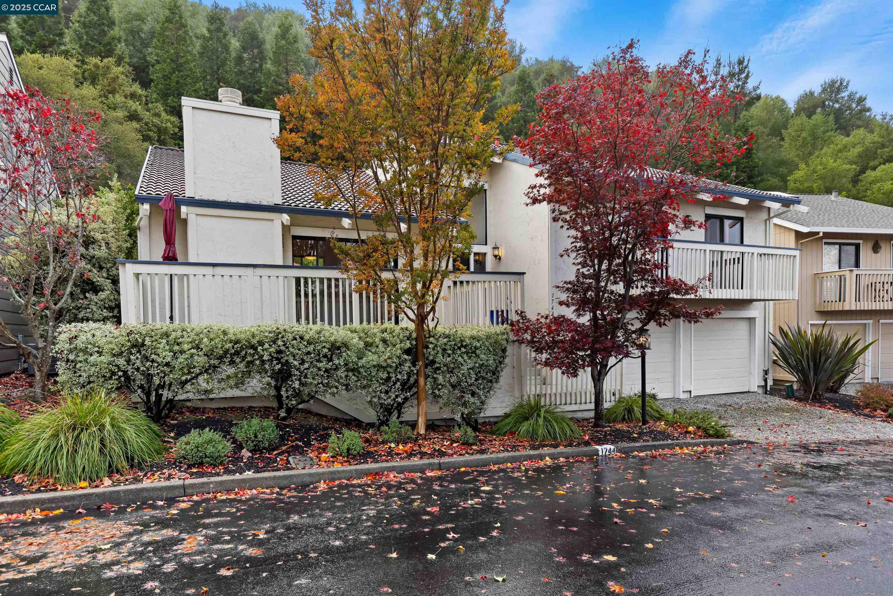 Front Image Thumbnail for CC41118510