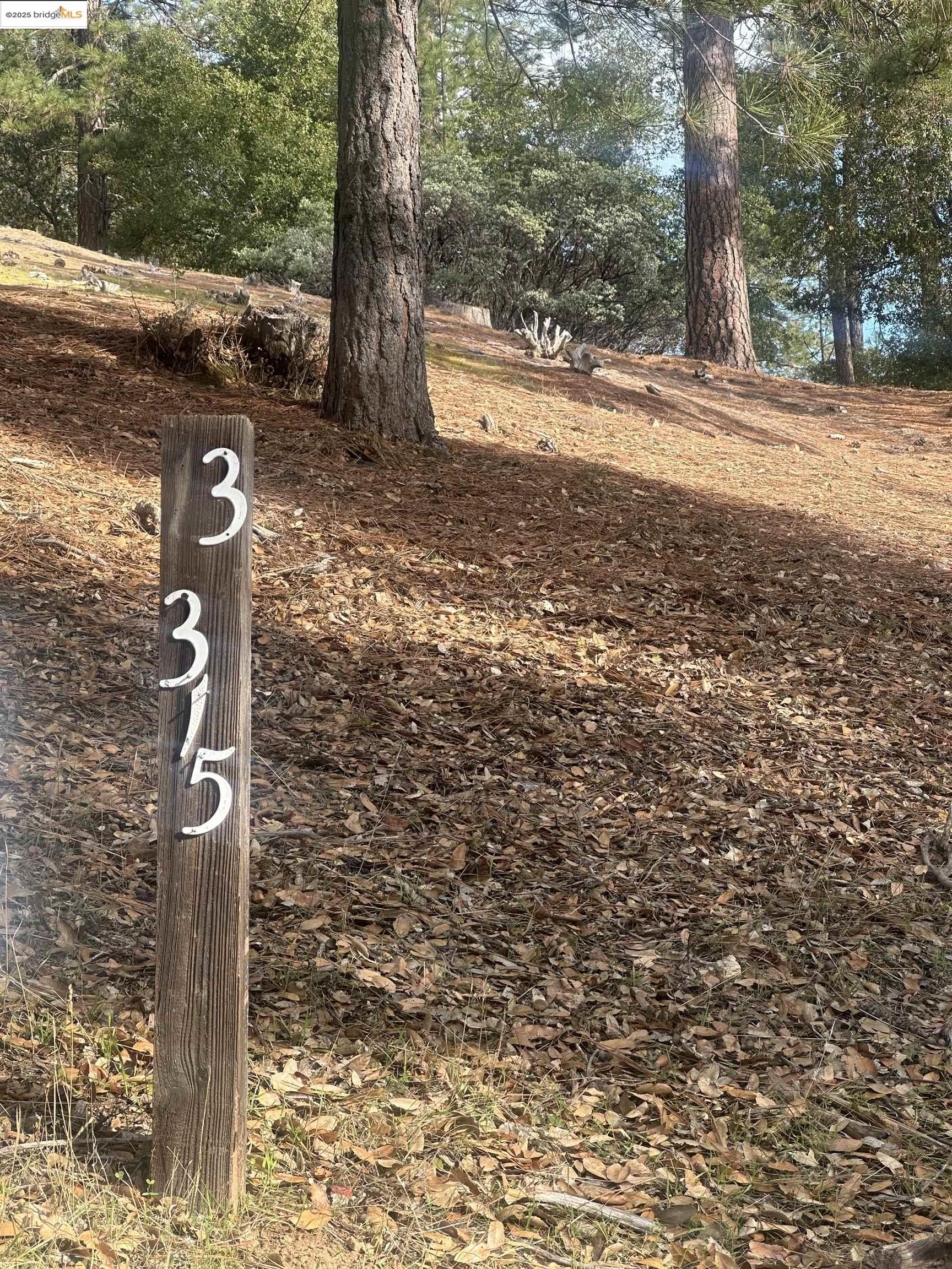 Front Image Thumbnail for EB41118513