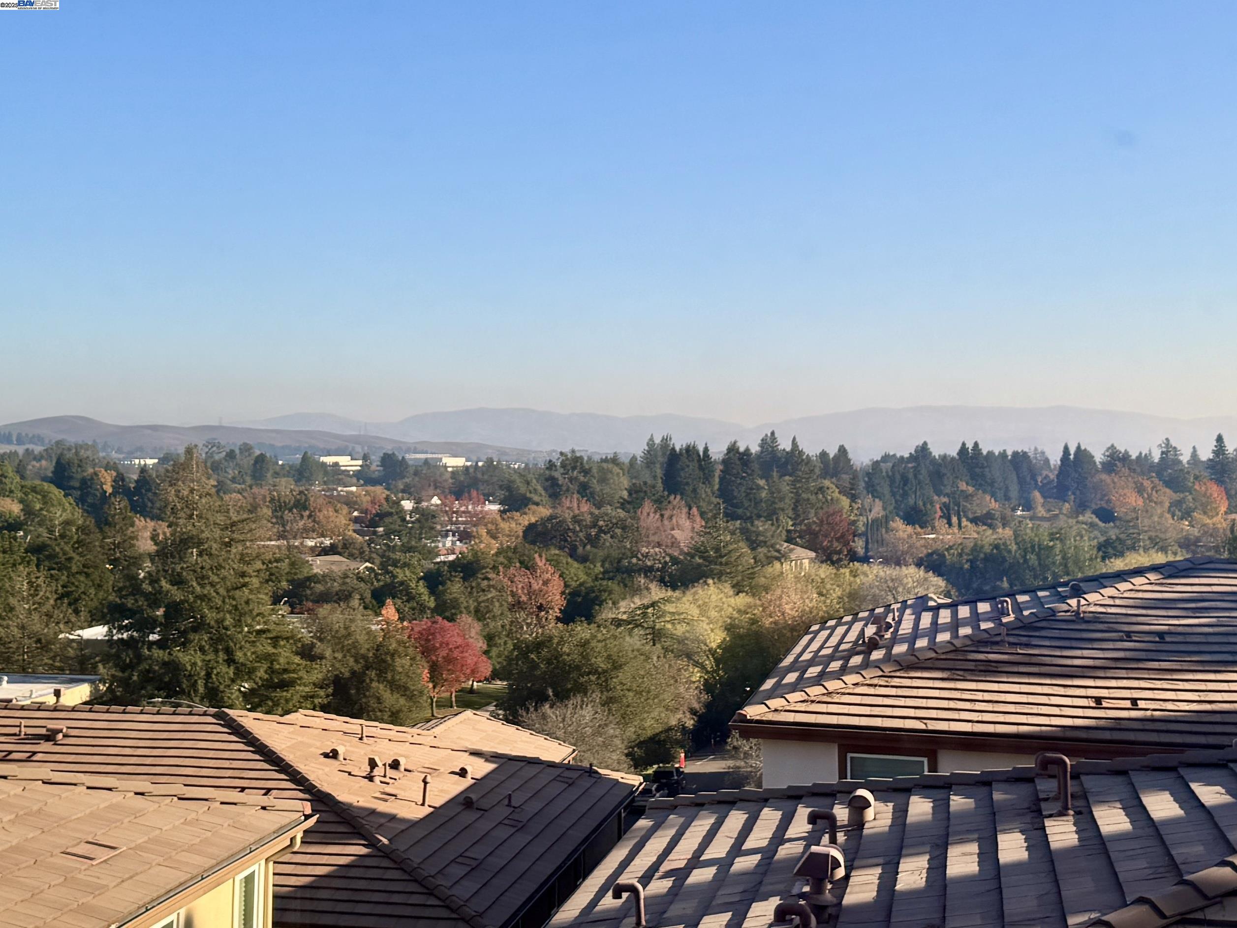 Photo #2: 41118516 Listing: Photo #2