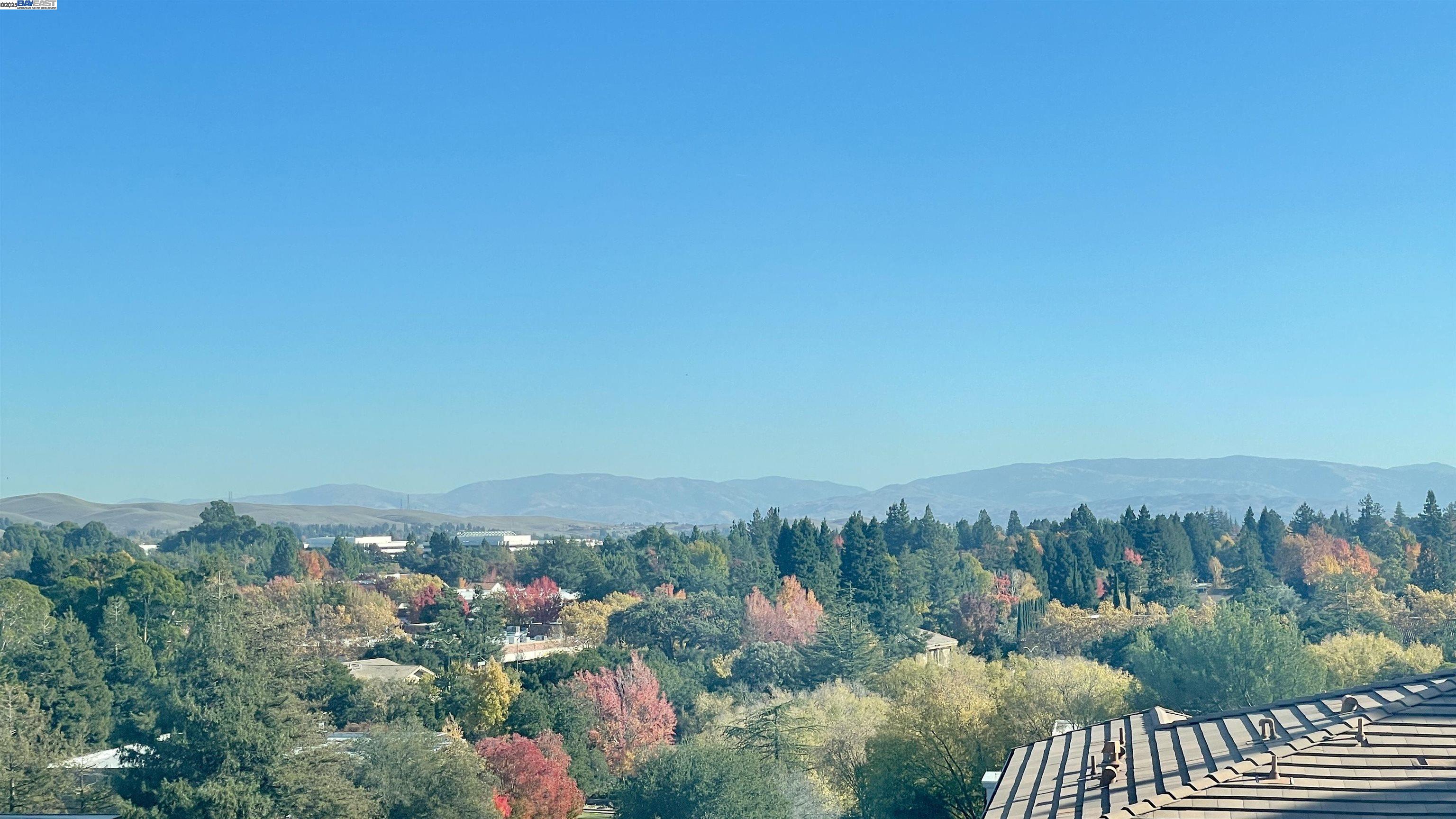 Photo #45: 41118516 Listing: Photo #45