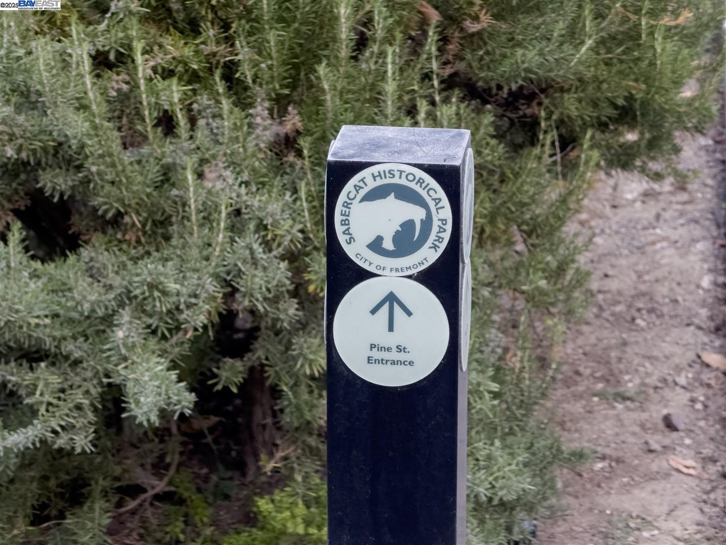 Detail Gallery Image 42 of 56 For 341 Dana St, Fremont,  CA 94539 - 3 Beds | 2 Baths