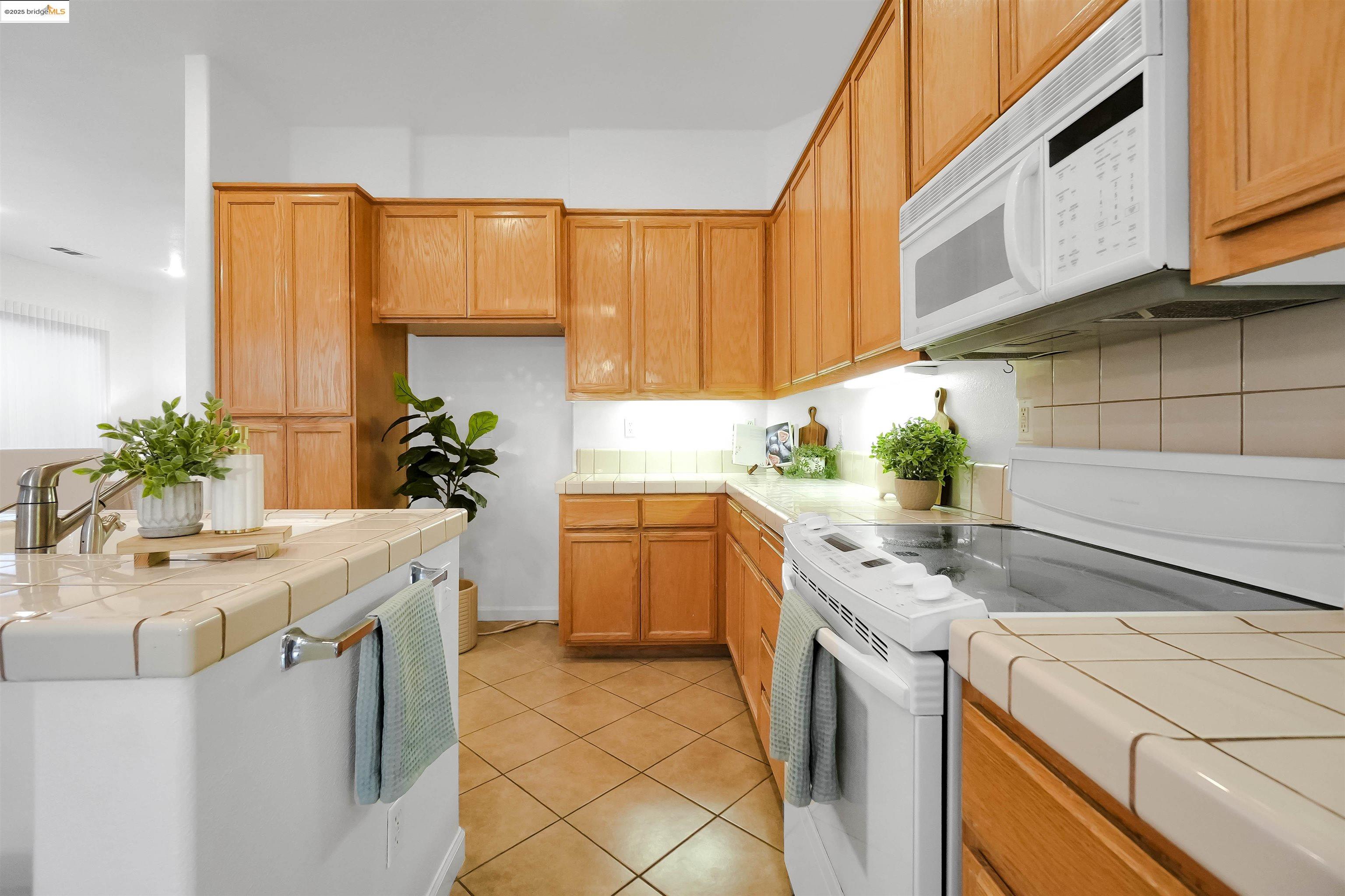 Detail Gallery Image 23 of 60 For 162 Albert Ct, Tracy,  CA 95376 - 4 Beds | 2 Baths