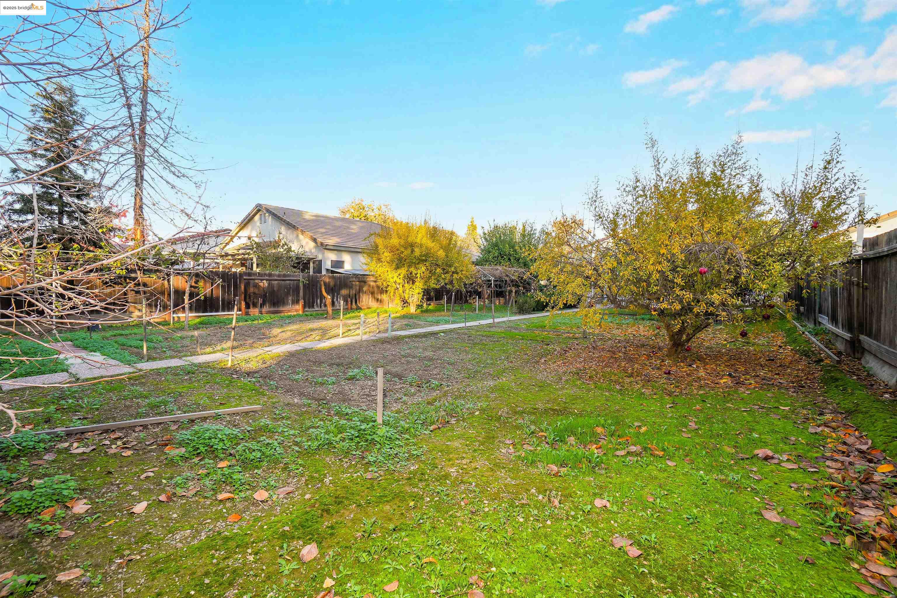 Detail Gallery Image 50 of 60 For 162 Albert Ct, Tracy,  CA 95376 - 4 Beds | 2 Baths