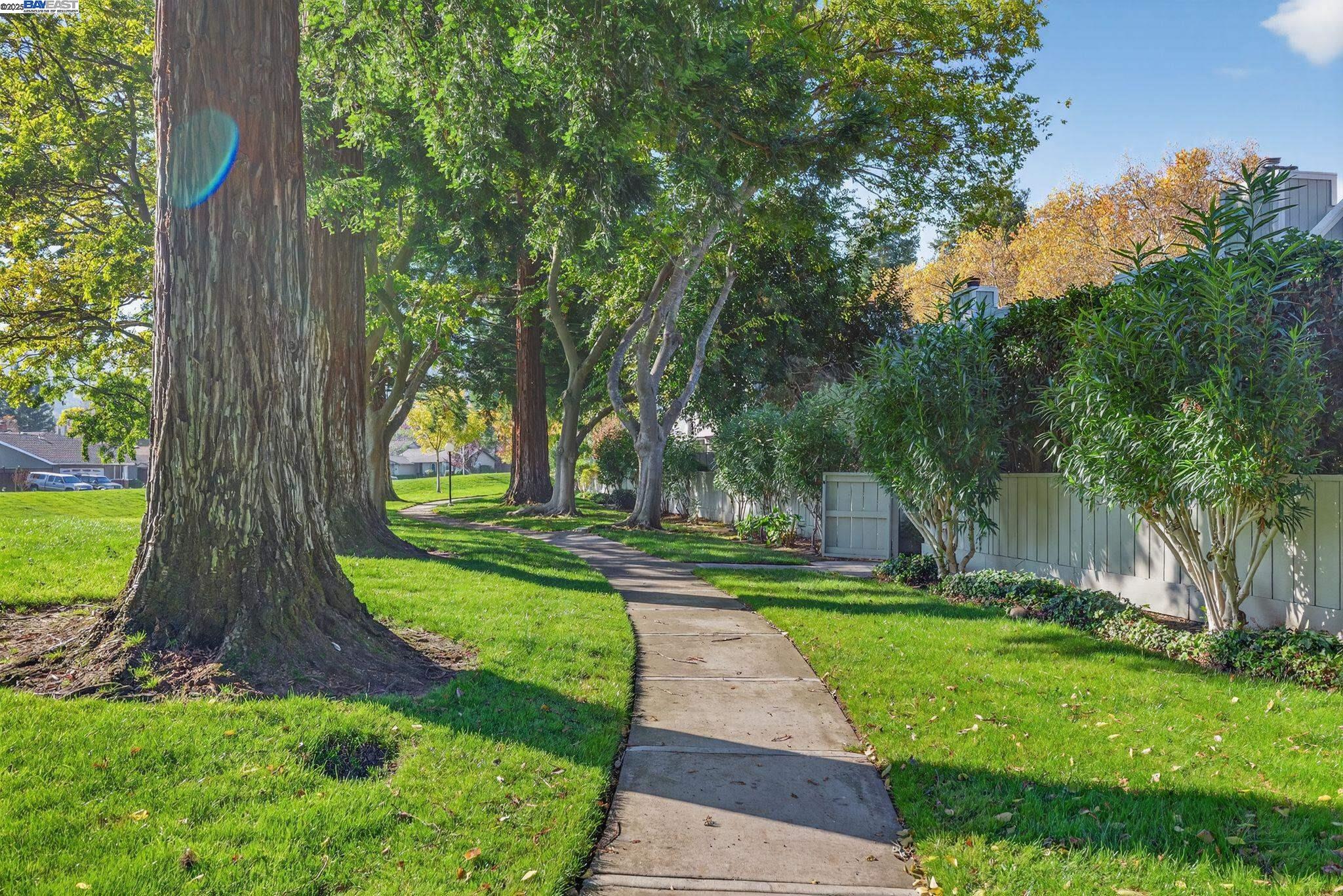 Photo #37: 41118566 Listing: Photo #37