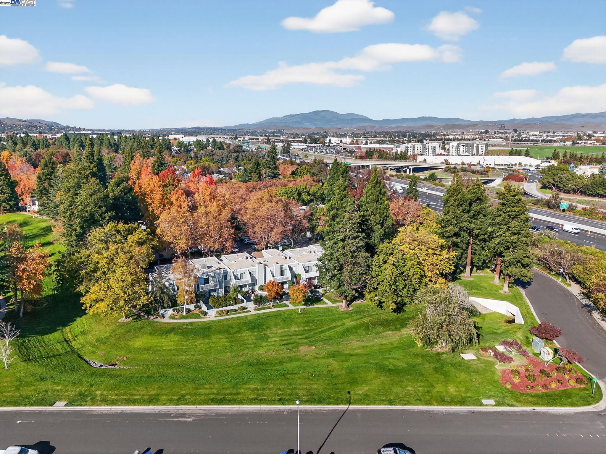 Photo #42: 41118566 Listing: Photo #42