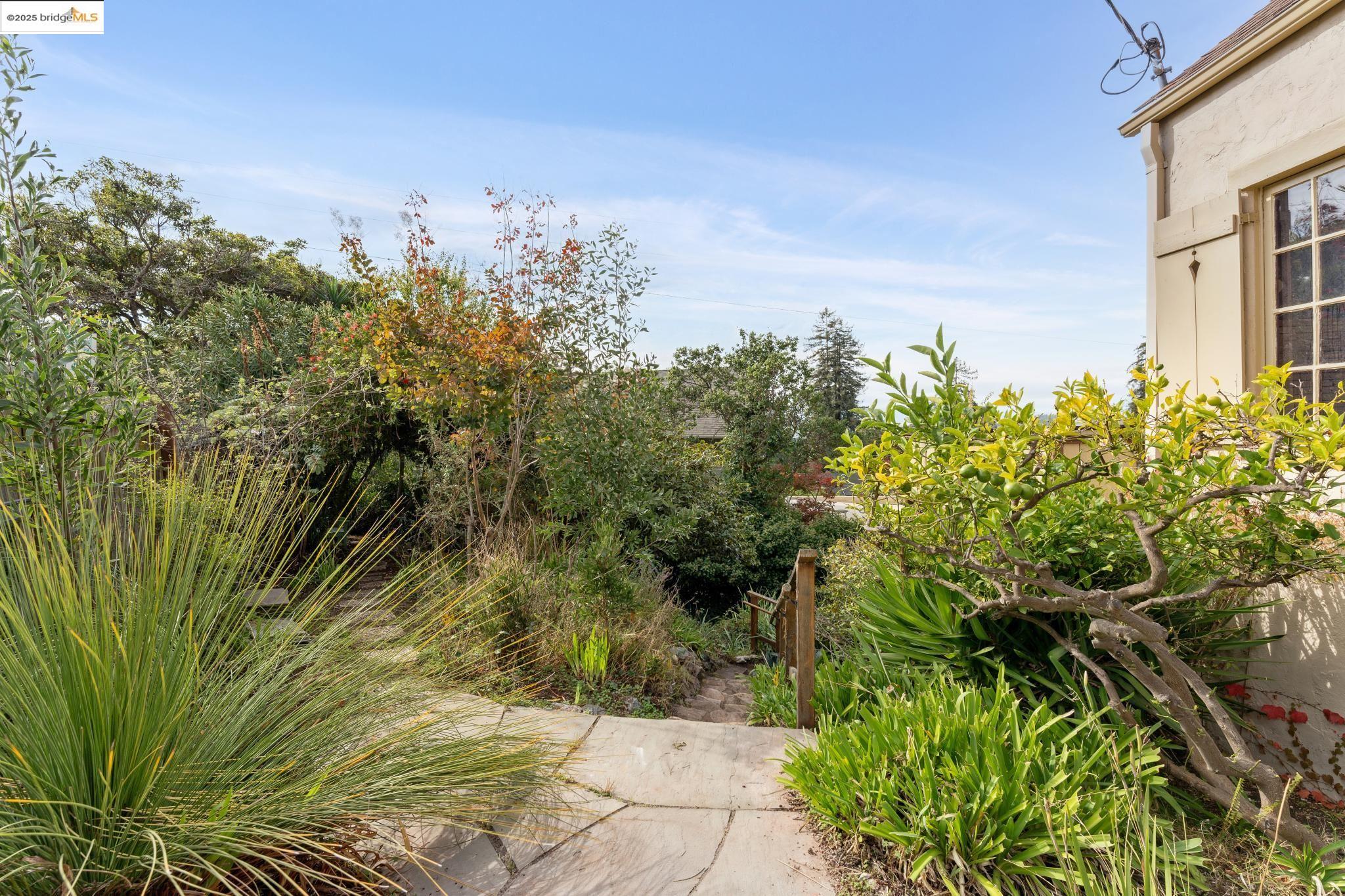 Detail Gallery Image 6 of 60 For 1444 Scenic Ave, Berkeley,  CA 94708 - 4 Beds | 2 Baths