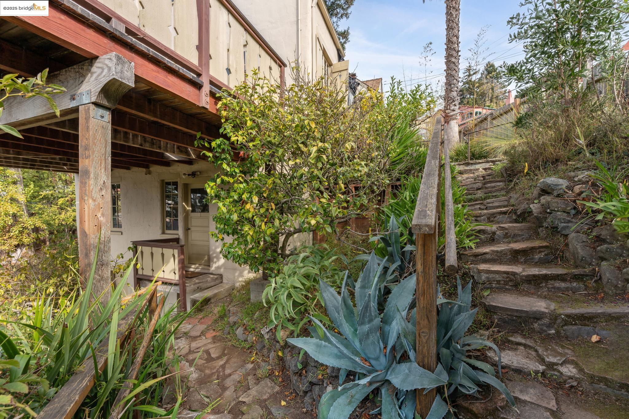 Detail Gallery Image 53 of 60 For 1444 Scenic Ave, Berkeley,  CA 94708 - 4 Beds | 2 Baths