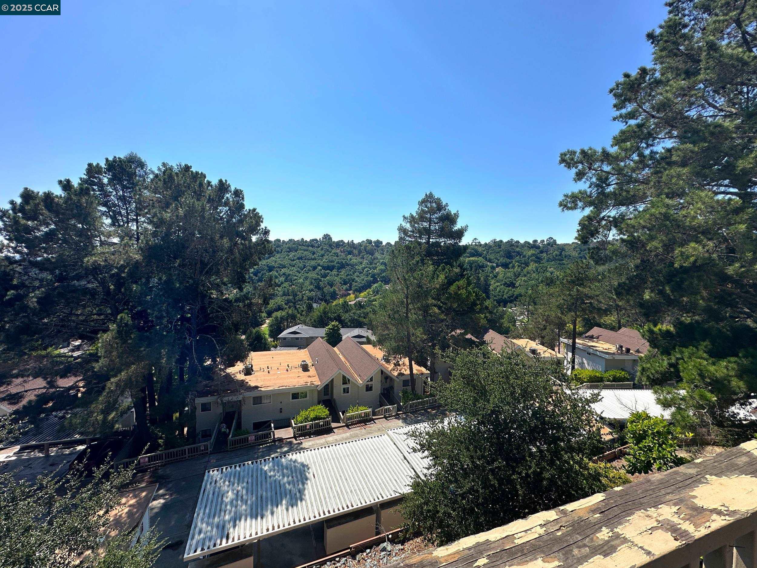 Photo #23: 41118574 Listing: Photo #23