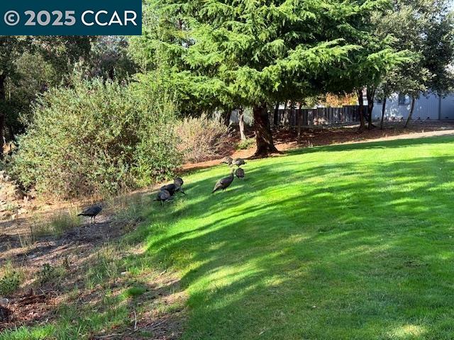 Detail Gallery Image 7 of 22 For 10 Tarn Ct, Hercules,  CA 94547 - 3 Beds | 2/1 Baths